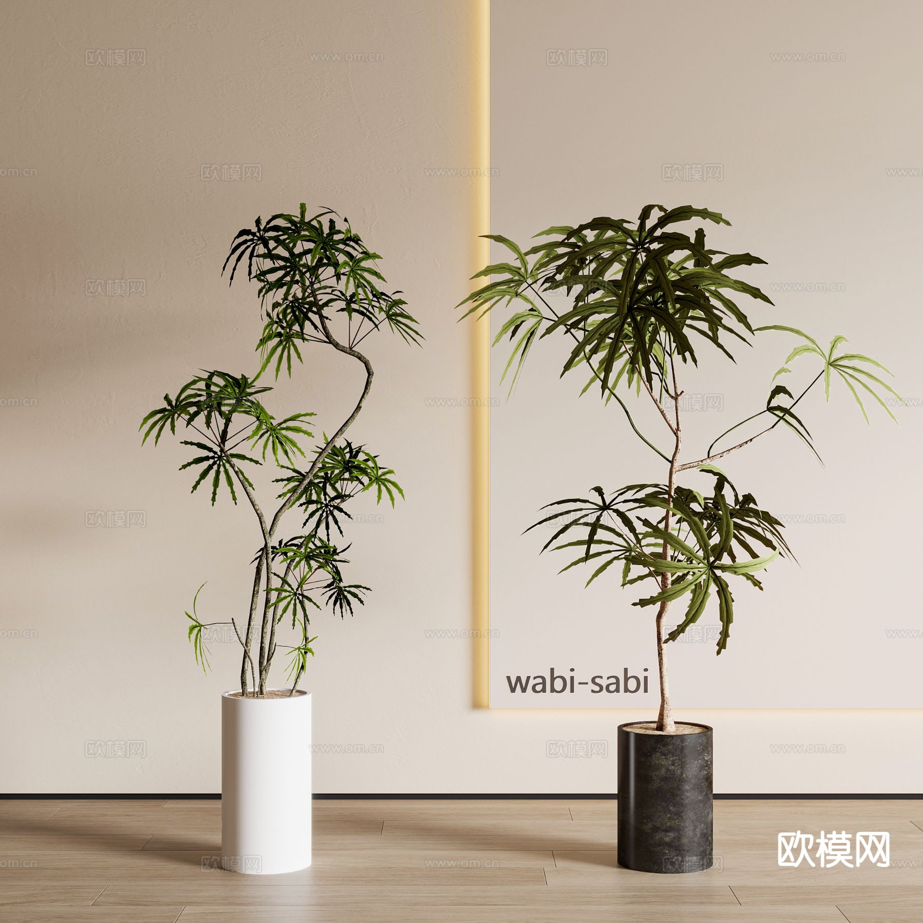 现代盆栽 植物 绿植3d模型