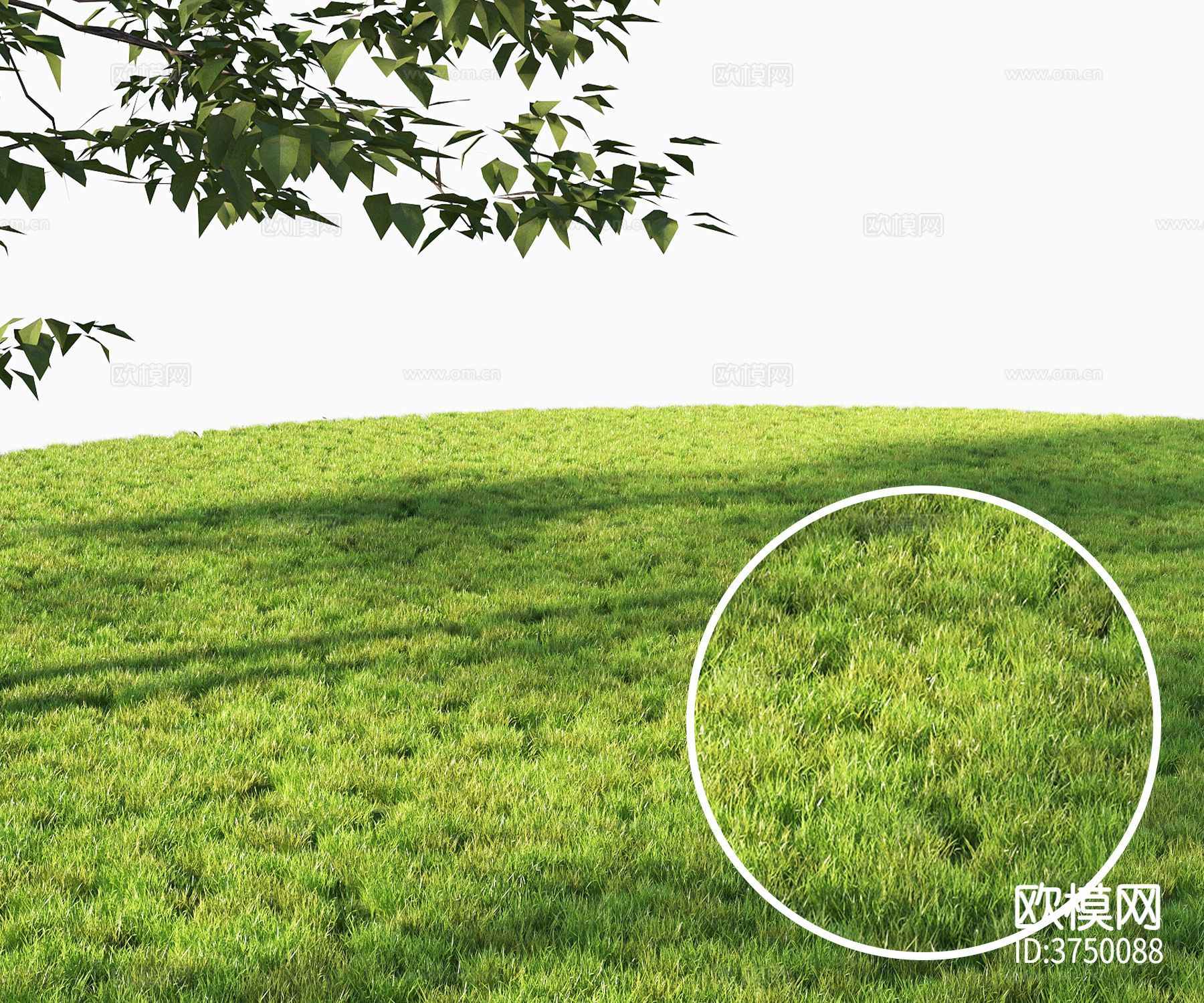 草地材质下载