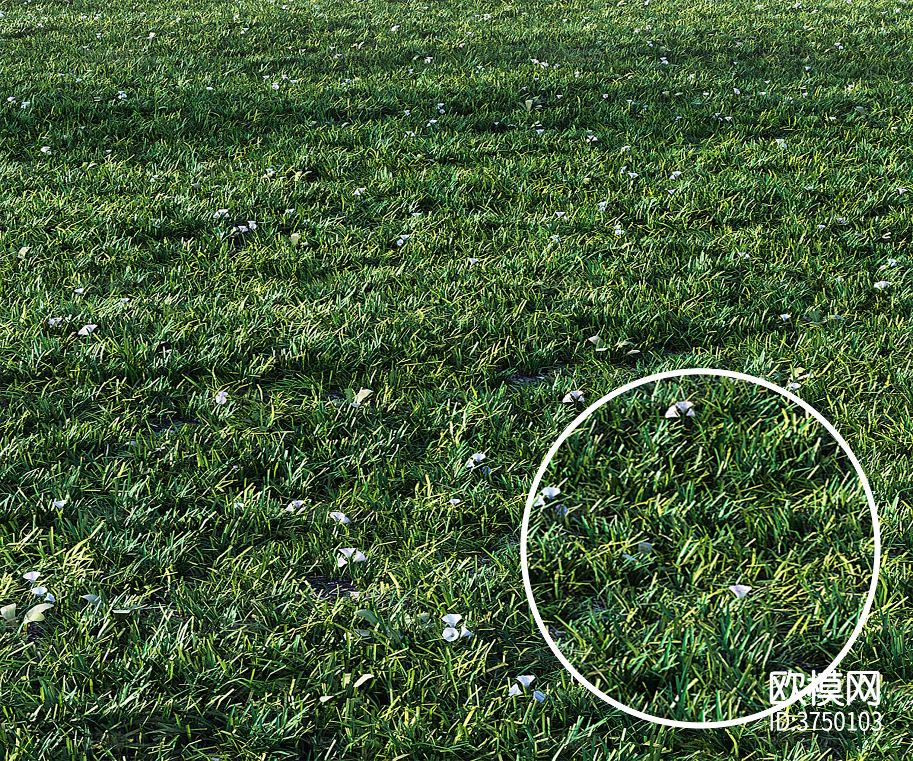 草地材质下载