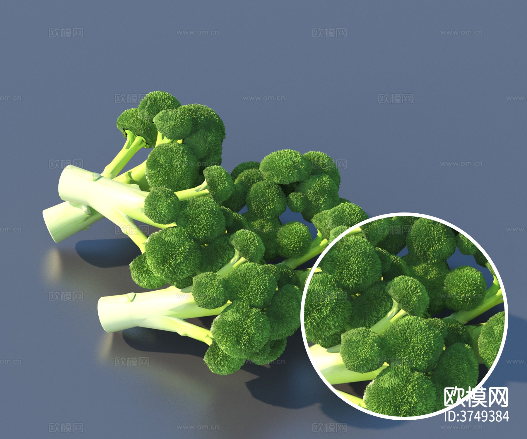 西兰花材质下载
