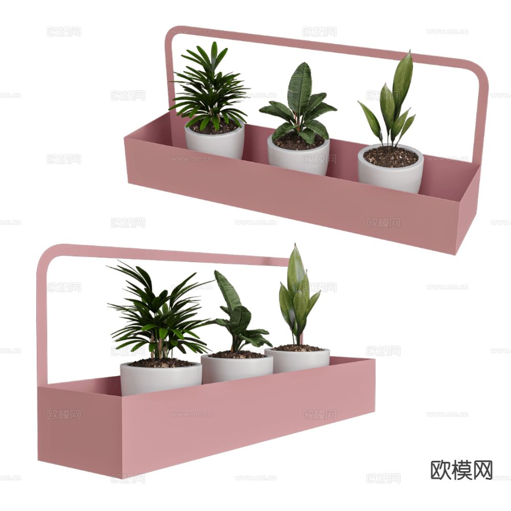 壁挂置物架 植物小盆栽3d模型