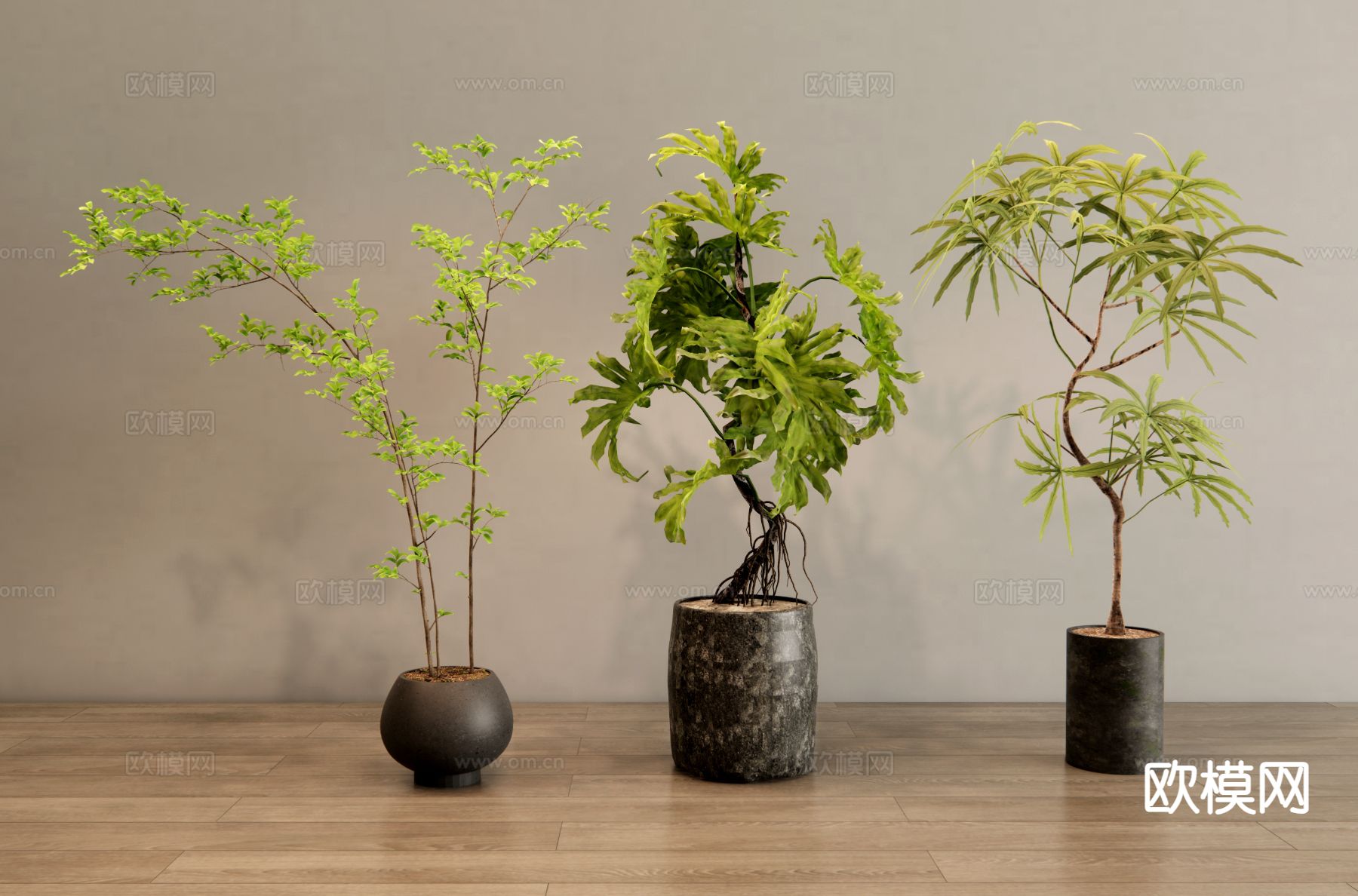 现代室内植物 盆栽 阳台植物3d模型