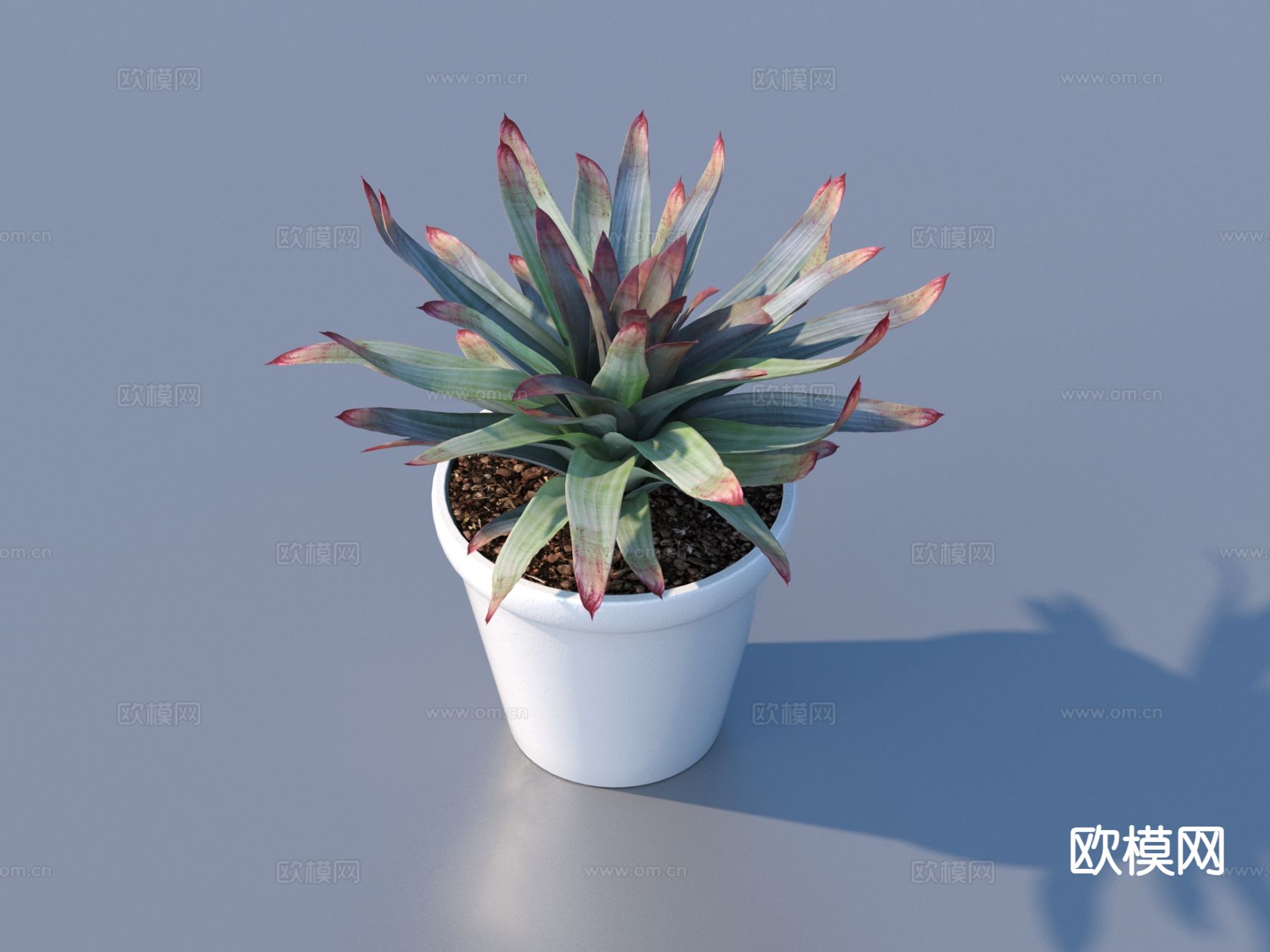 花盆 盆景 绿植 植物3d模型