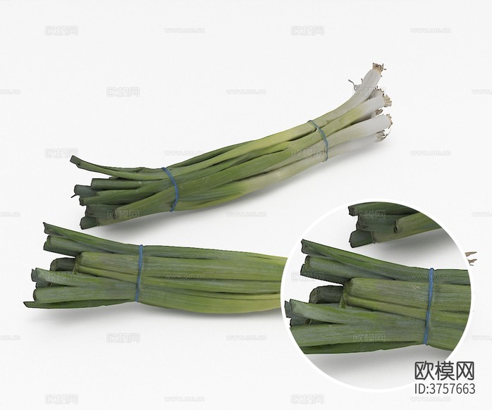 大蔥材質(zhì)下載