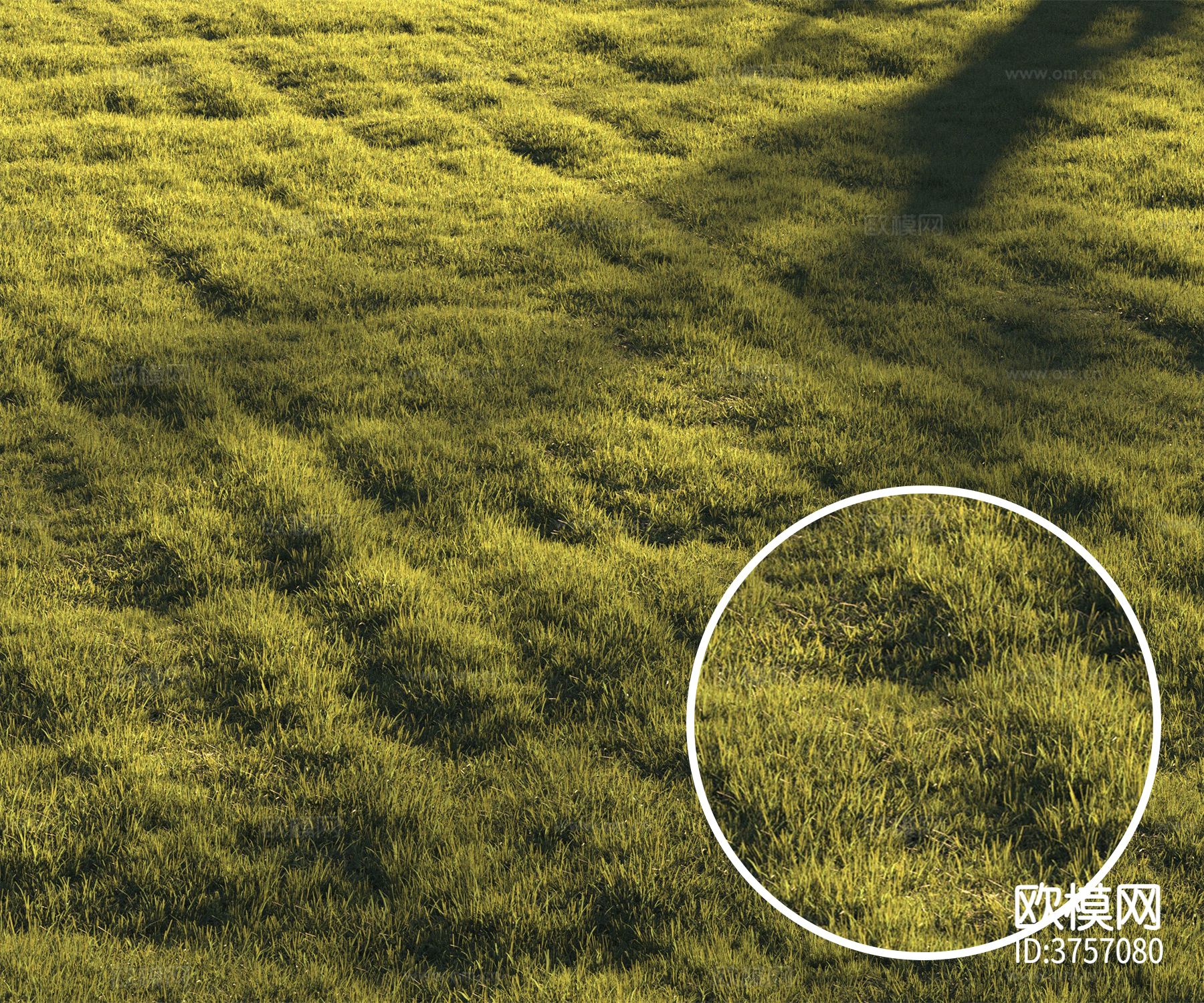 草坪 草地材质下载