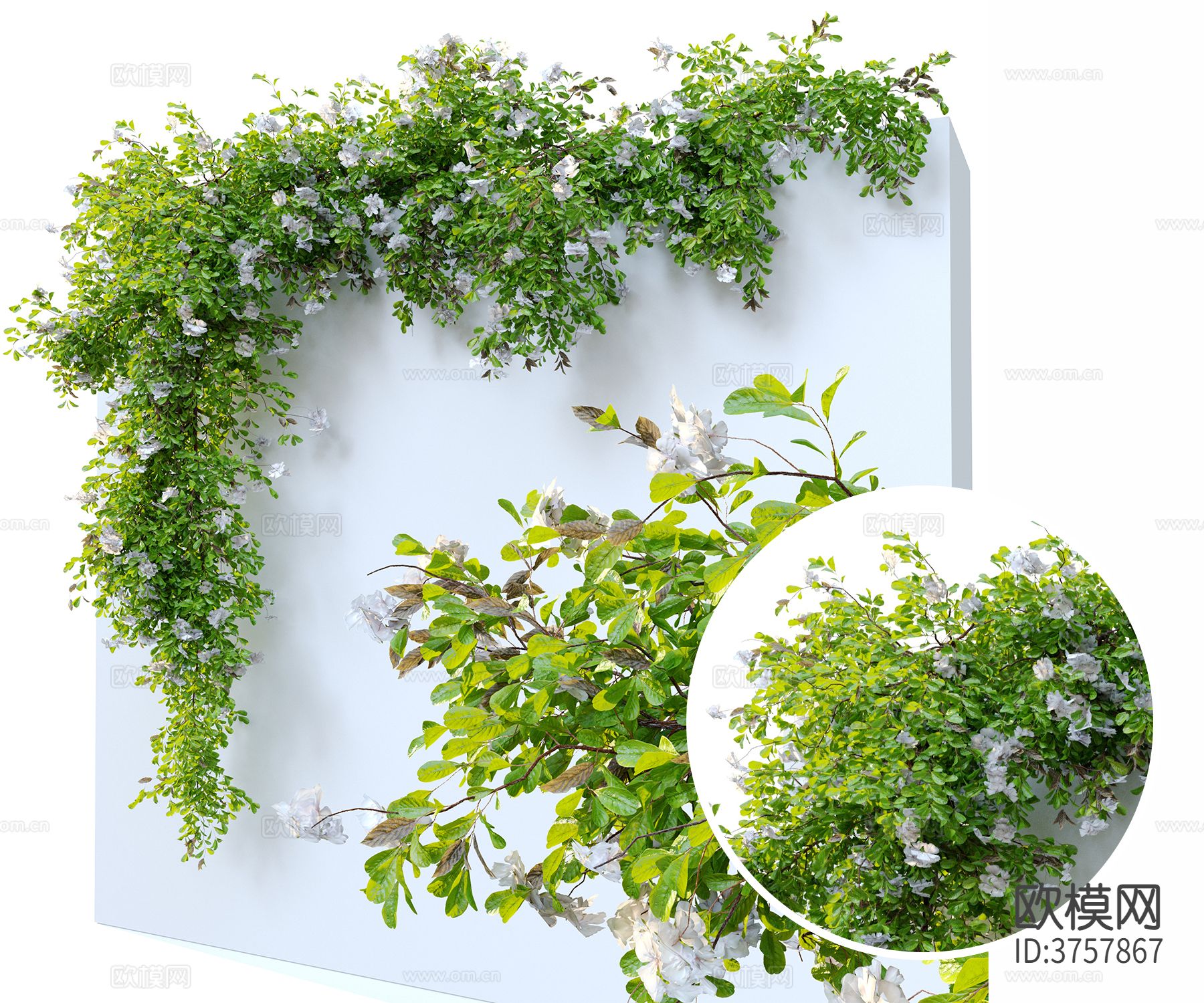 藤条 花藤材质下载