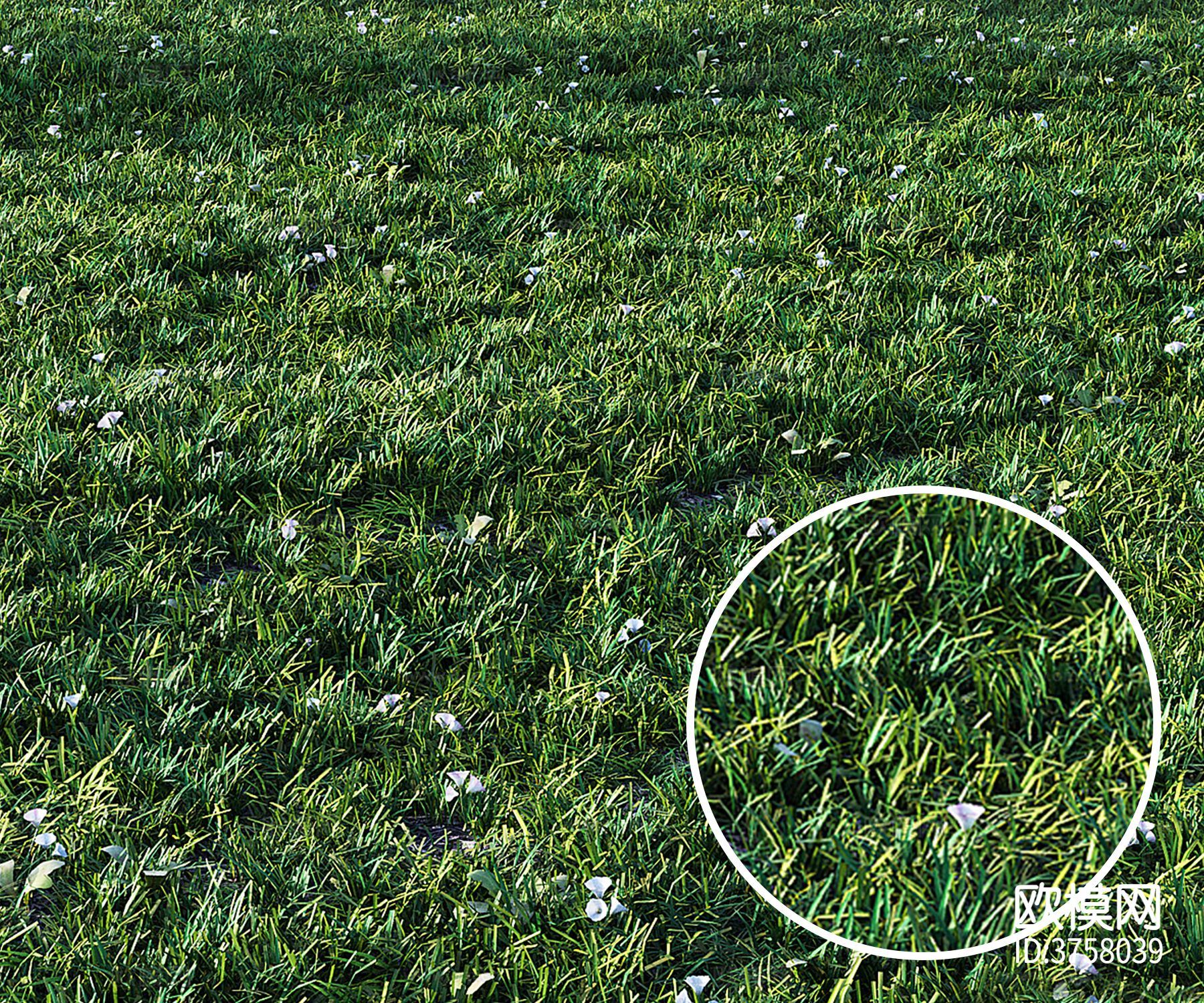 草地 草材质下载