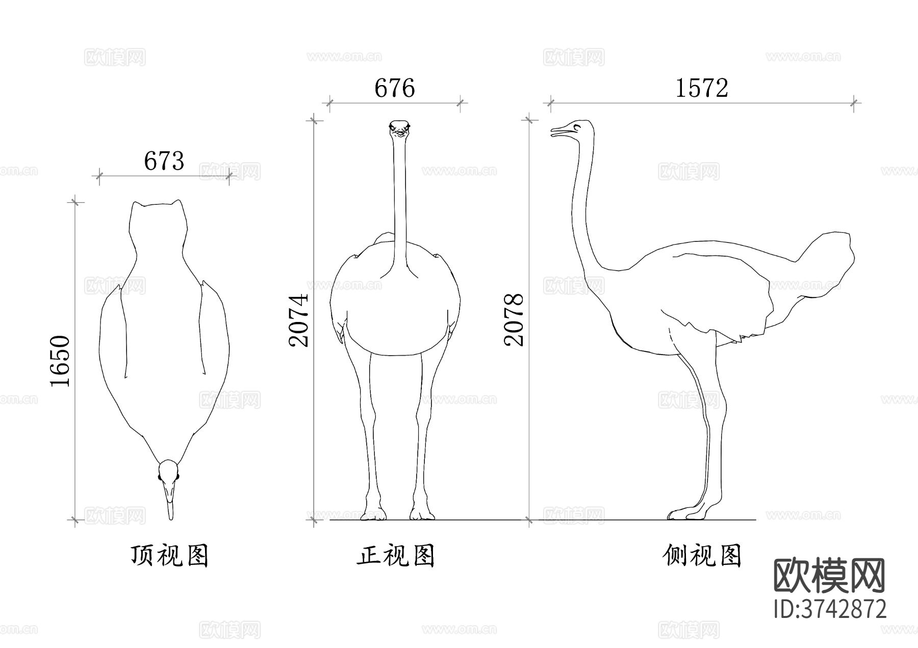 鸵鸟 动物CAD三视图