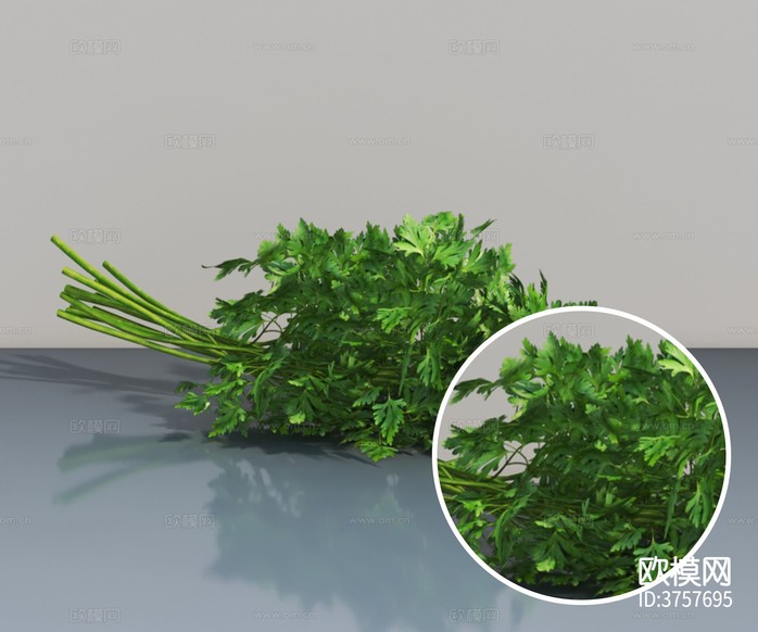 蔬菜 香菜材質(zhì)下載