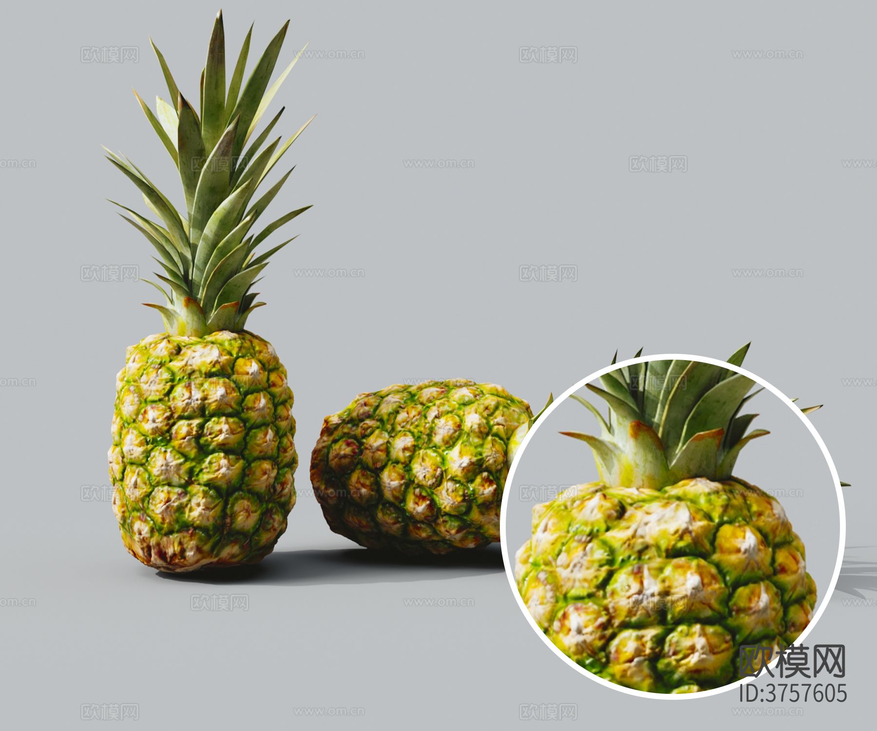 菠蘿 水果材質(zhì)下載