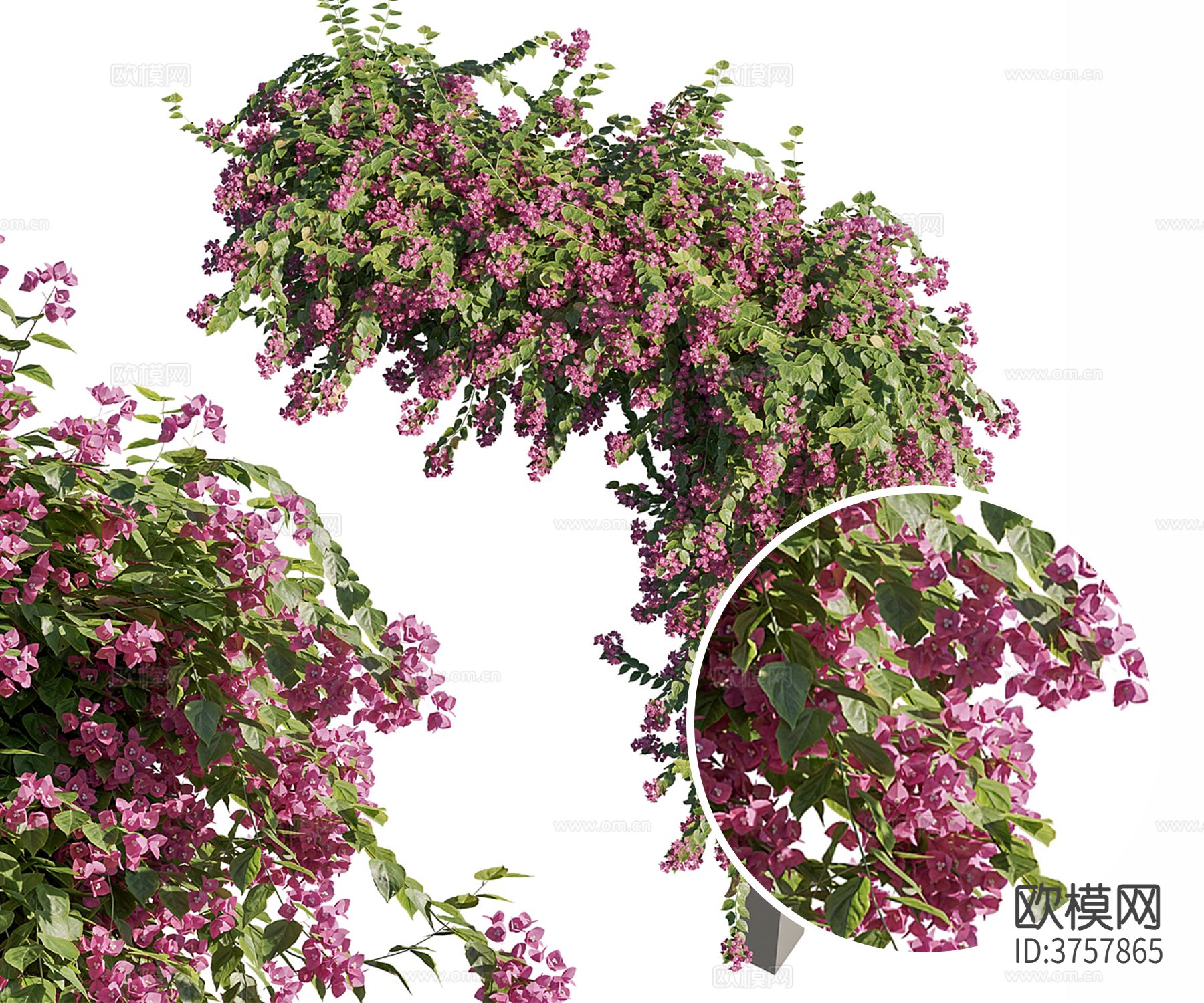 藤蔓花架 花廊 户外植物材质下载