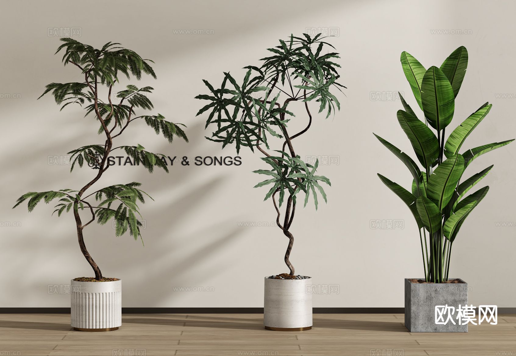 植物盆栽 绿植 芭蕉3d模型