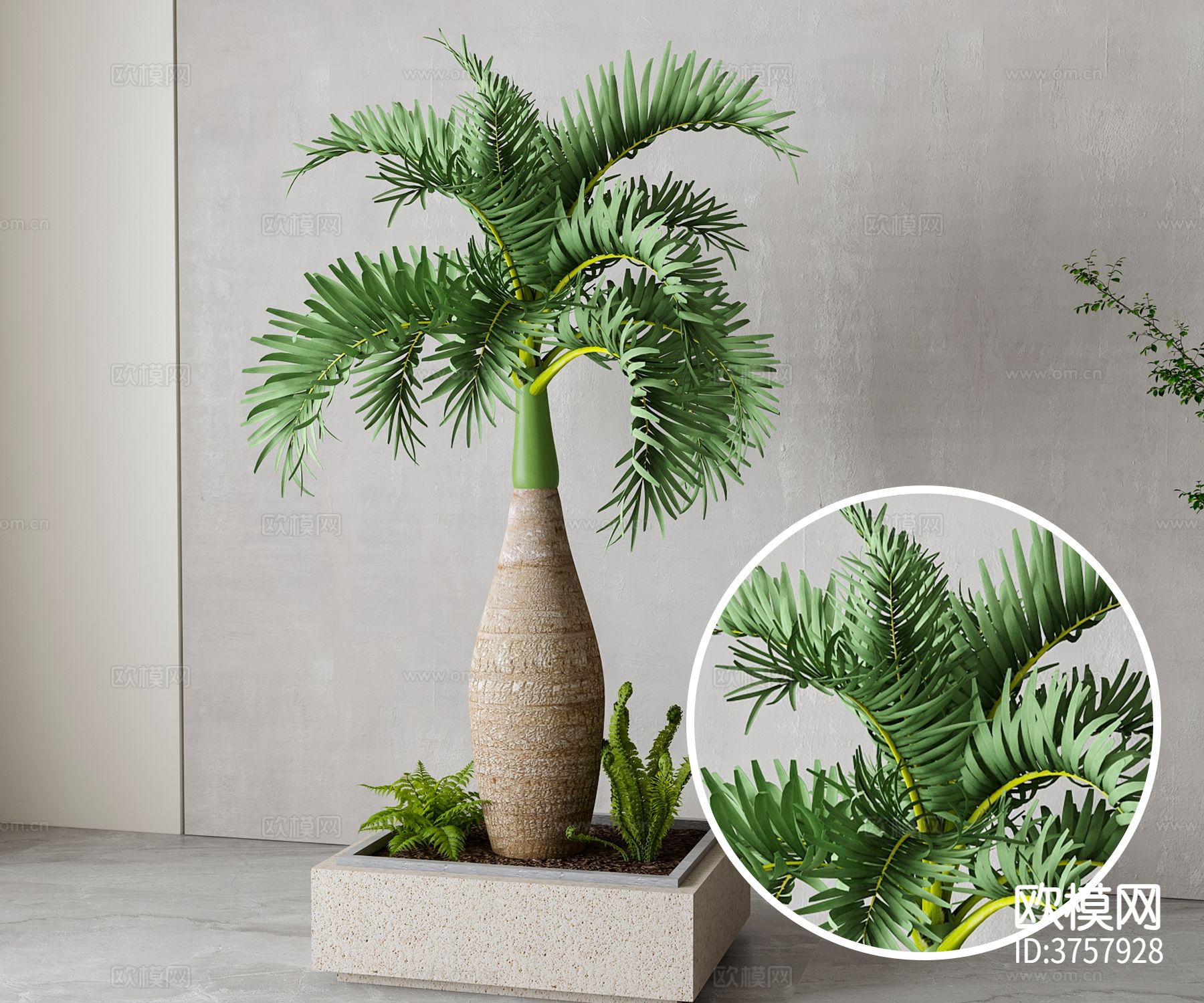 植物盆栽材质下载