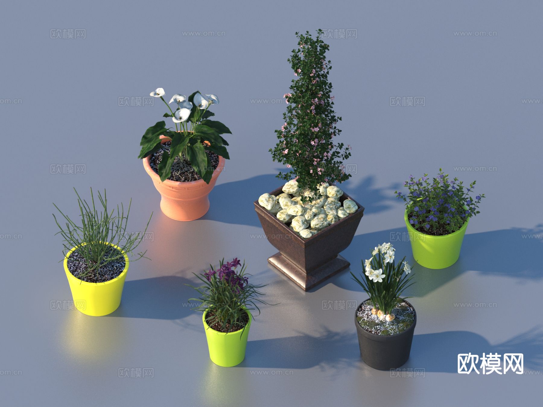 花盆 盆栽 绿植 植物3d模型