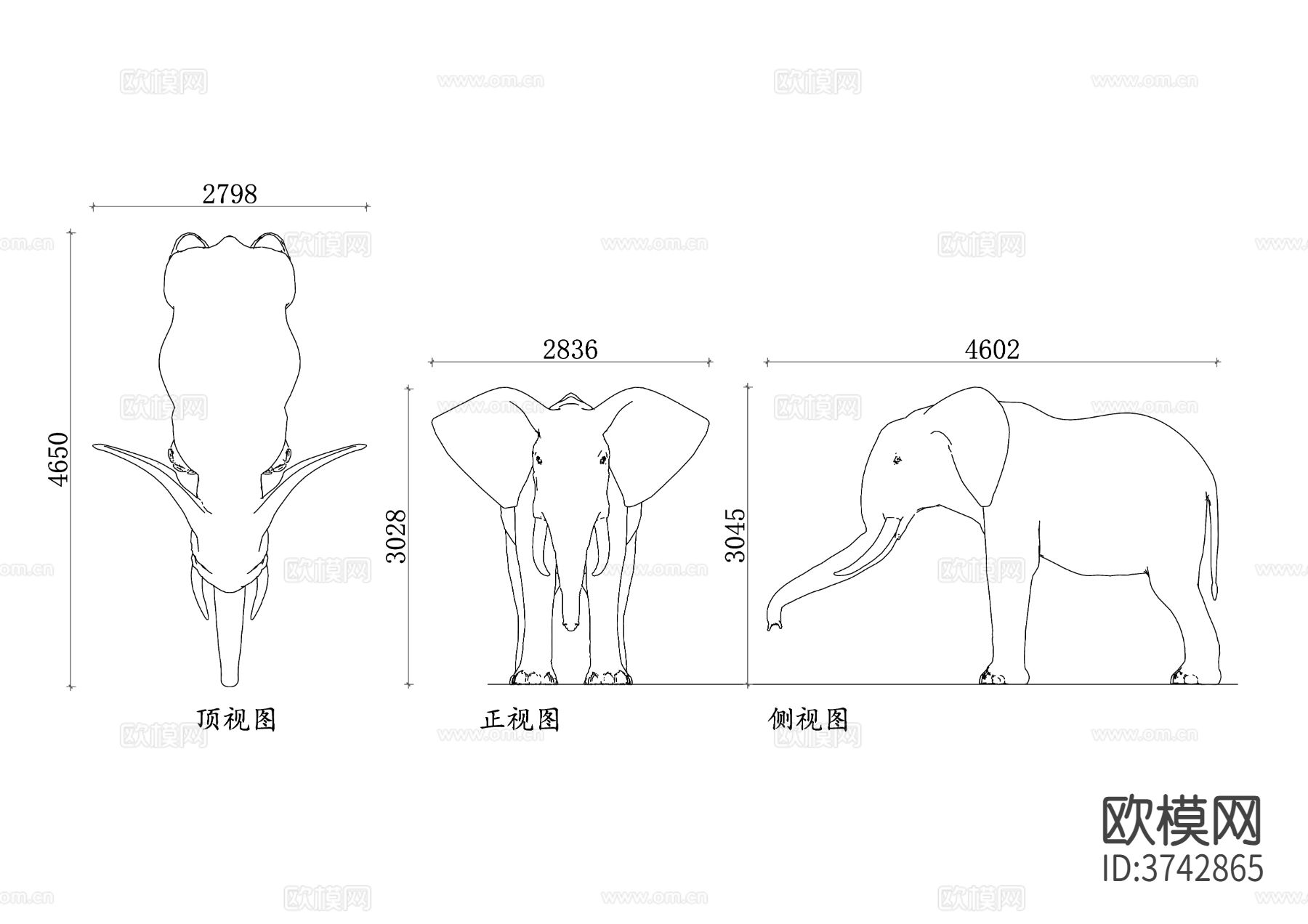 大象 动物CAD三视图