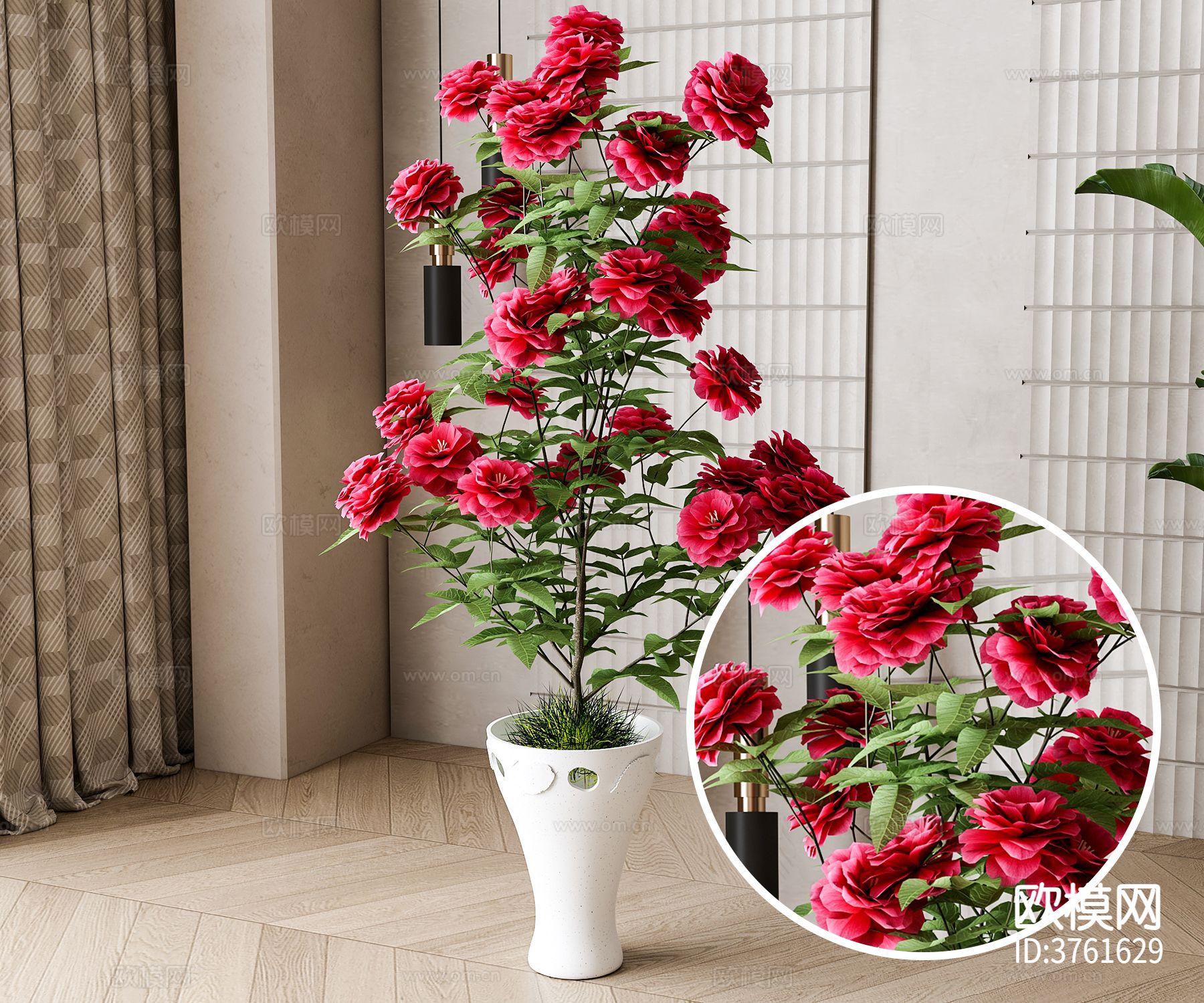 植物 盆栽材质下载