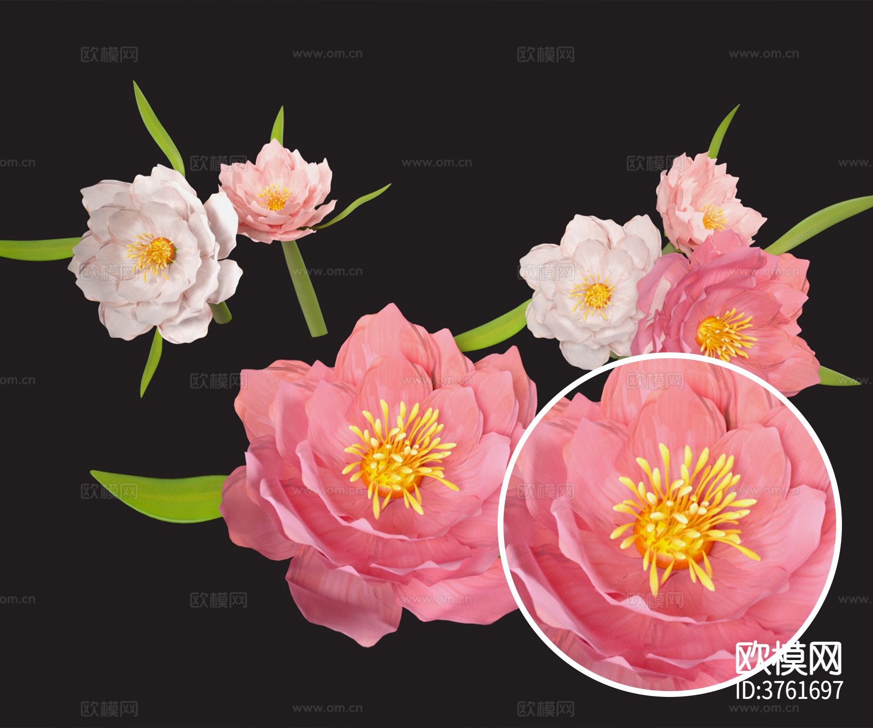 牡丹花材质下载