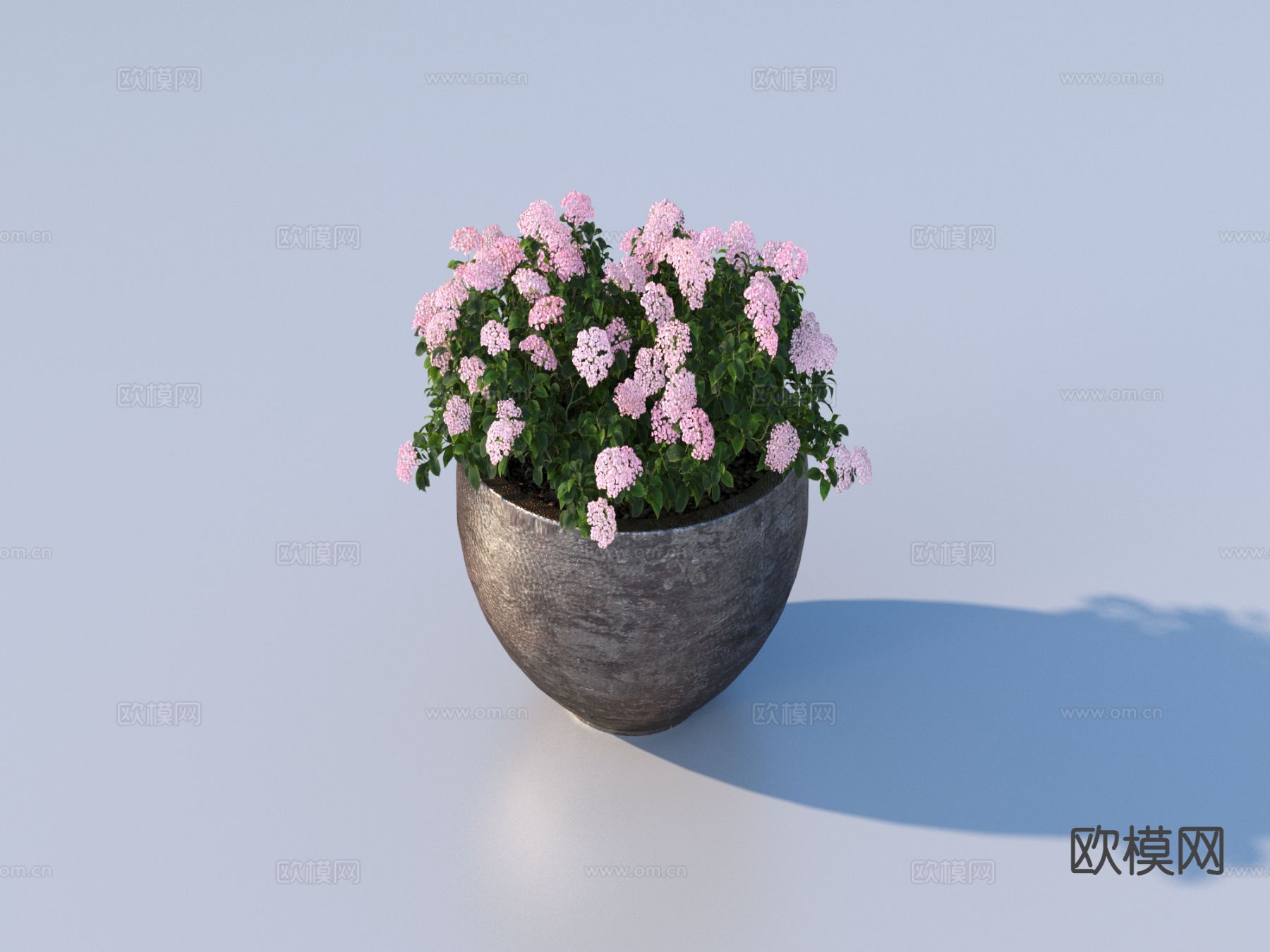 花盆 鲜花 小盆栽3d模型