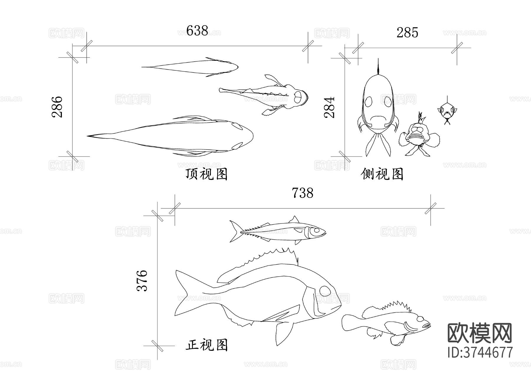 鱼类形态图 鱼类三视图