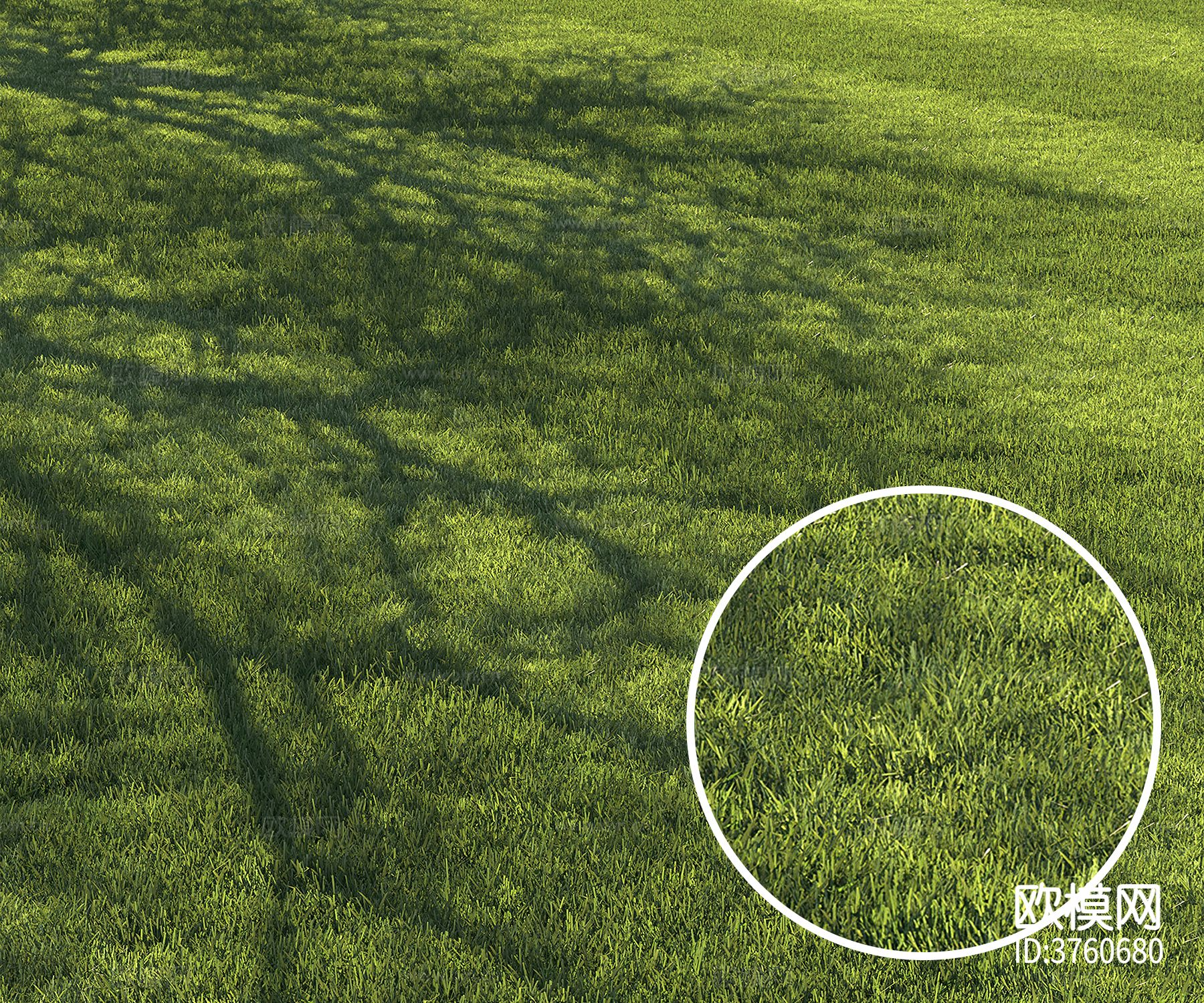 草坪 草地材质下载