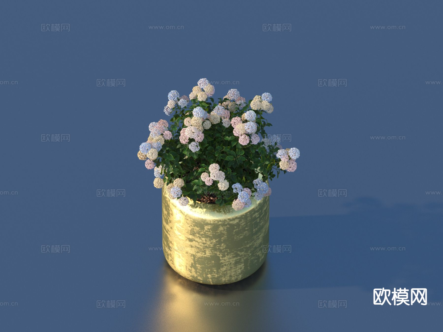 花盆 小盆栽3d模型