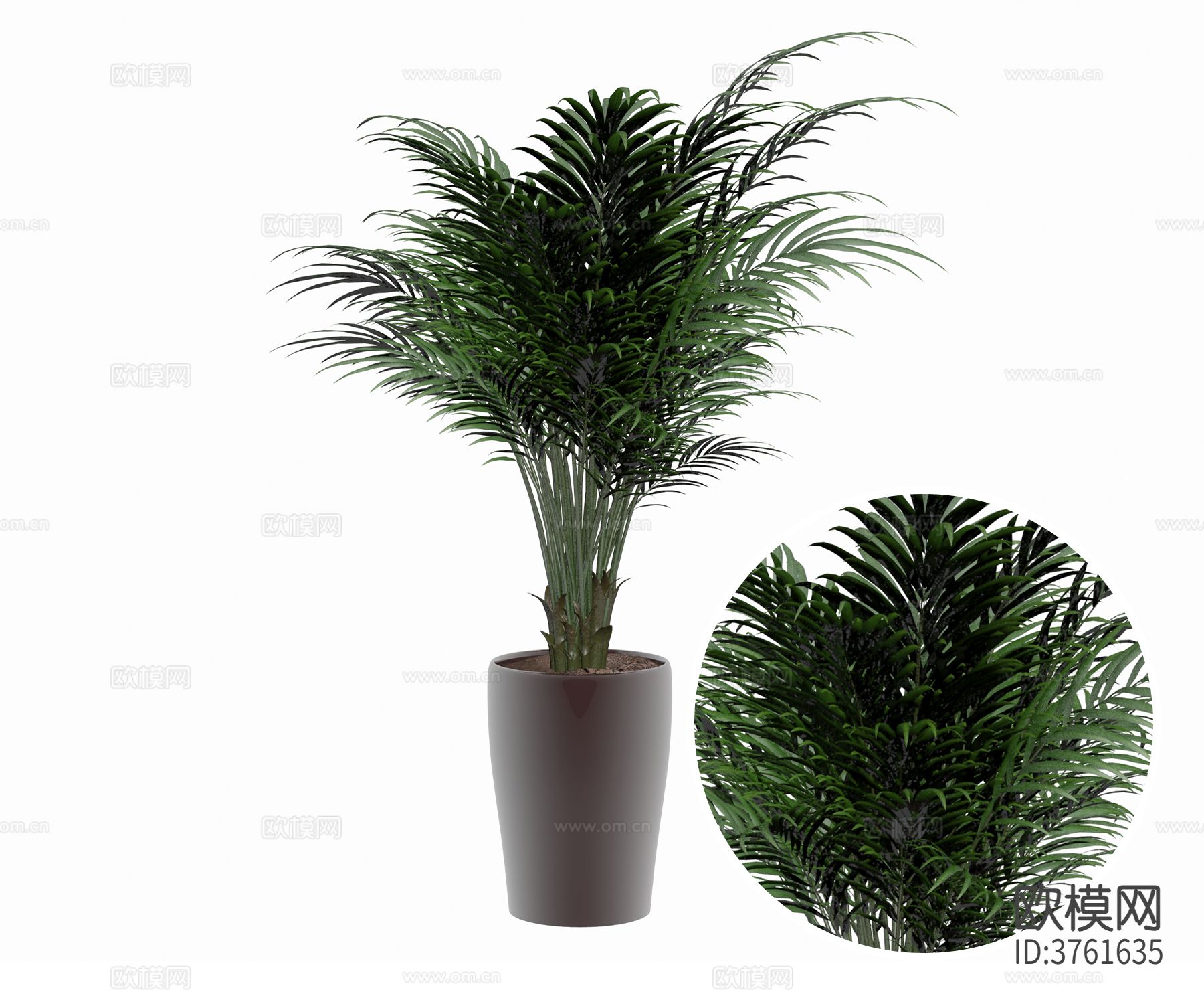 绿植 盆栽 盆景材质下载