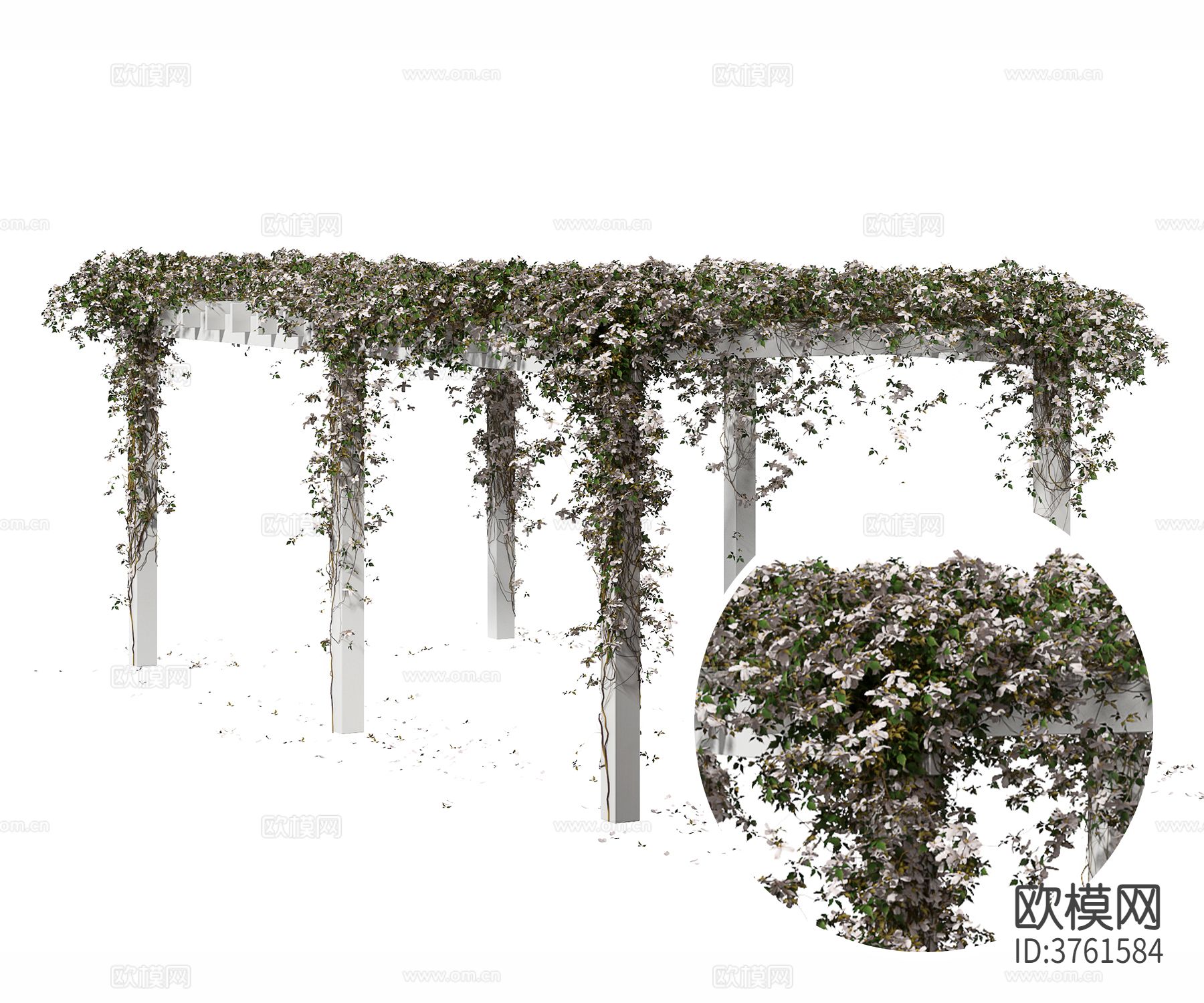 爬山虎藤曼材质下载