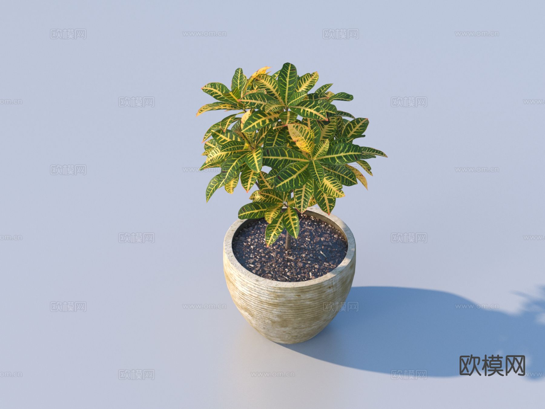 花盆 黄叶小盆栽3d模型