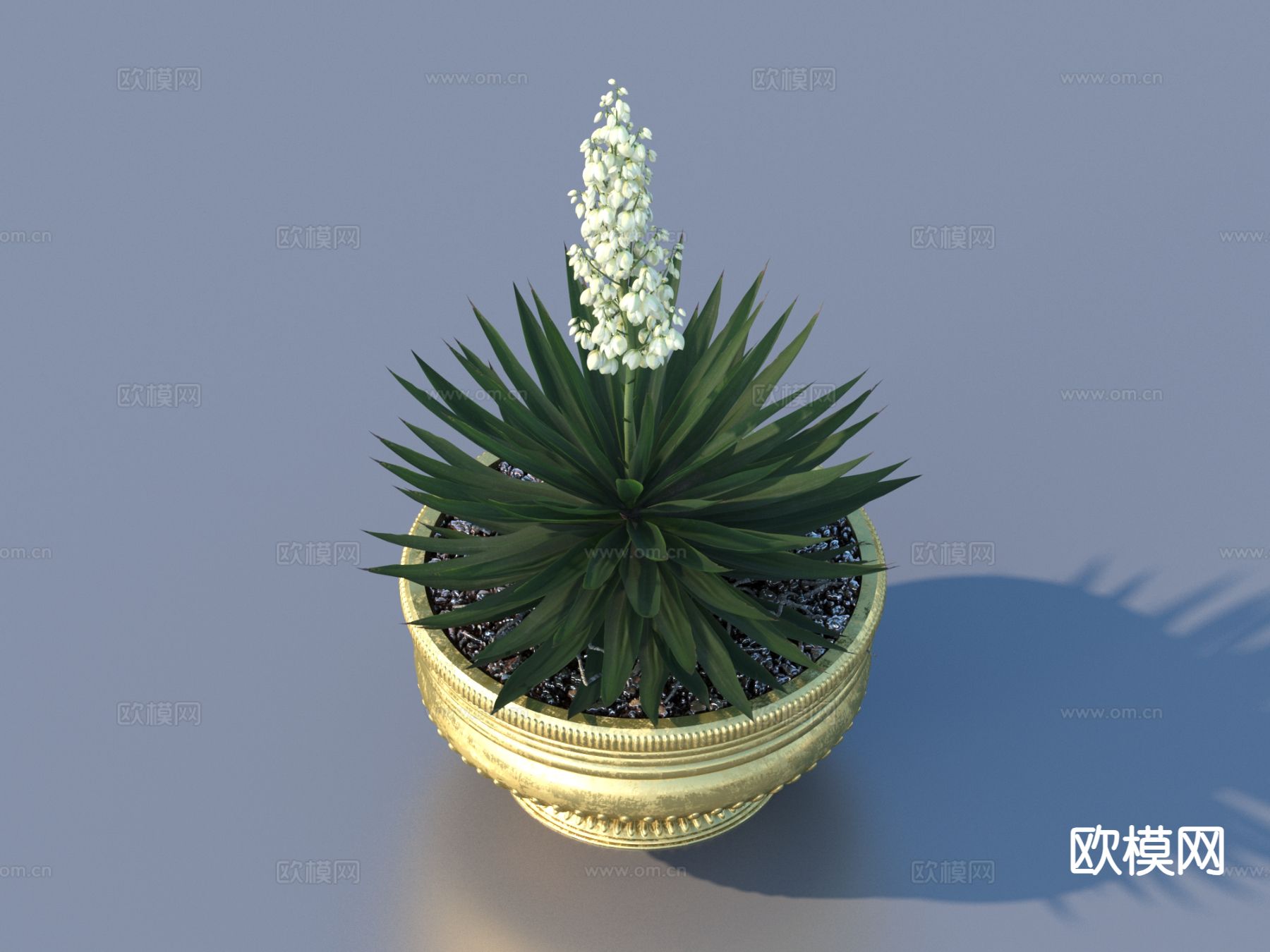 花盆 小盆栽 绿植3d模型