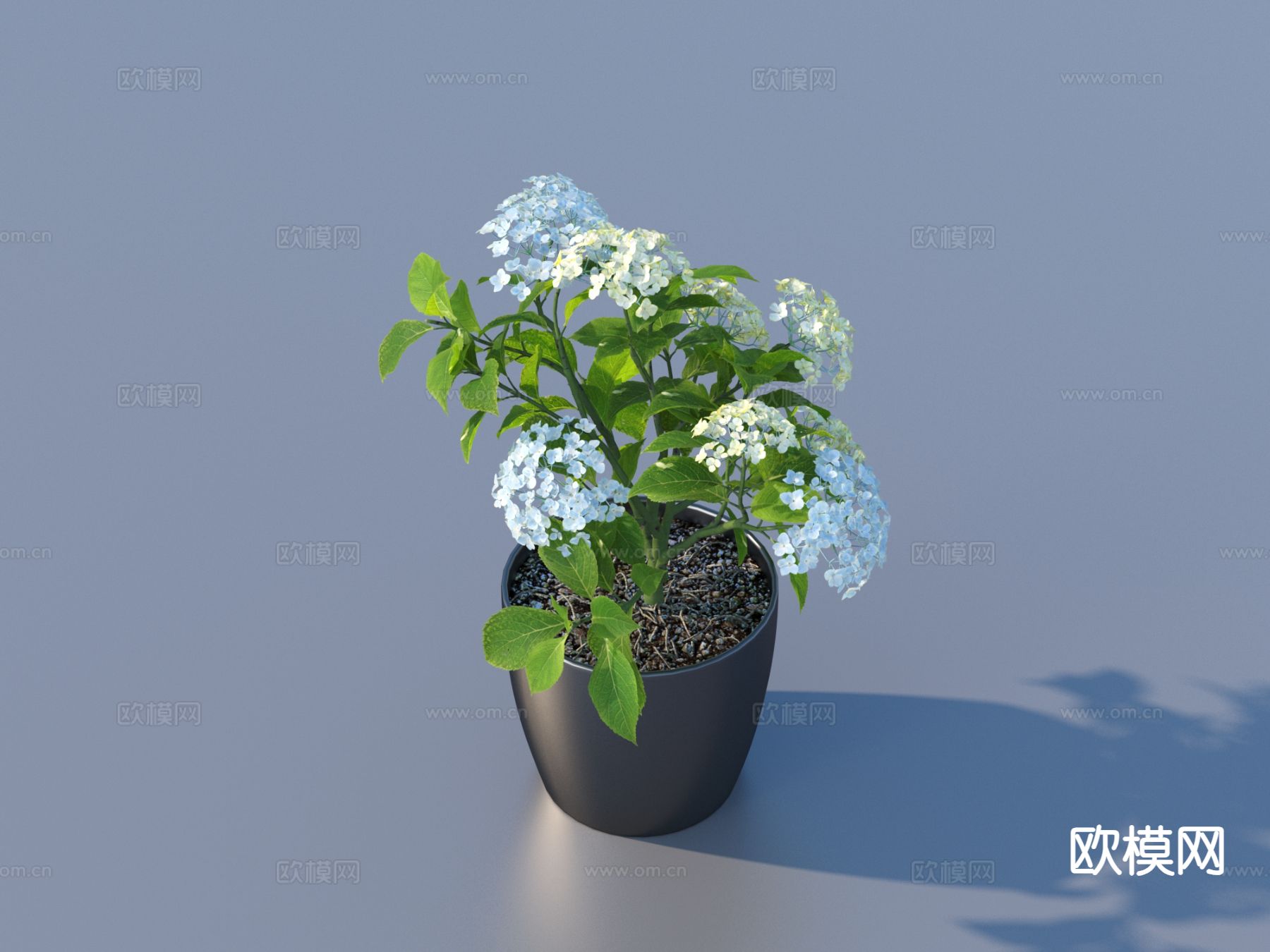 花盆 盆栽 绿植 户外植物3d模型