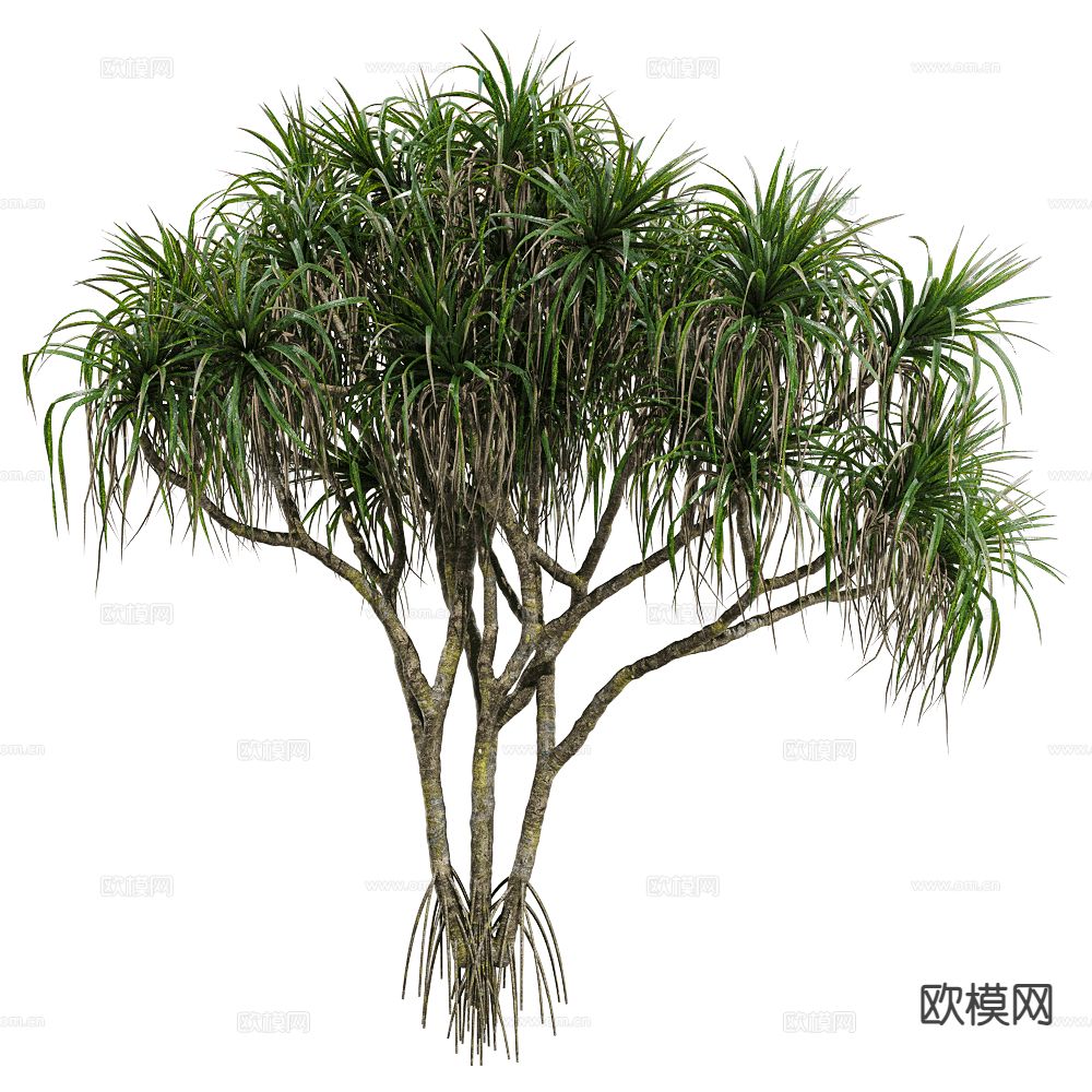 现代树 景观树 植物3d模型