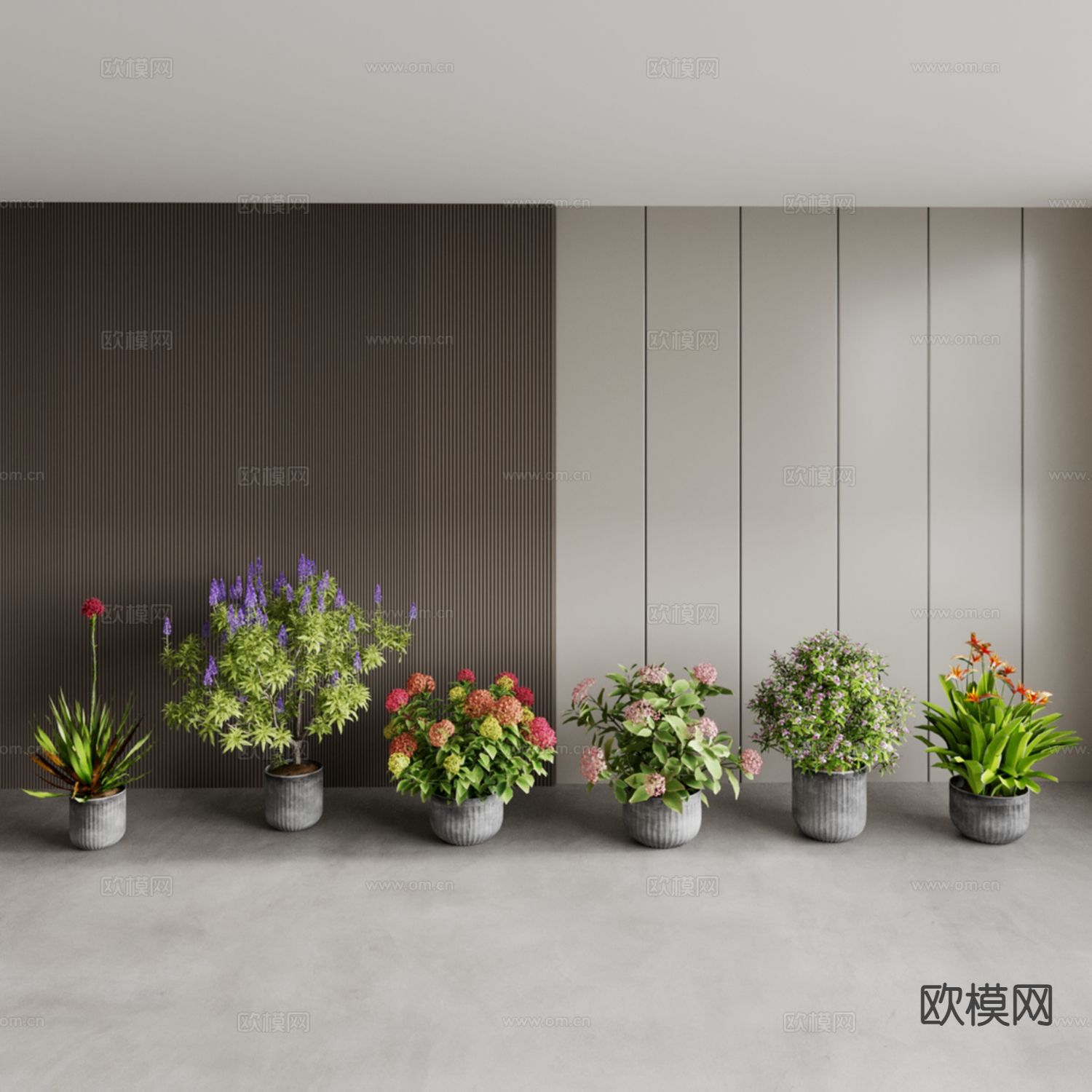 开花盆栽 绣球花盆栽 盆景3d模型