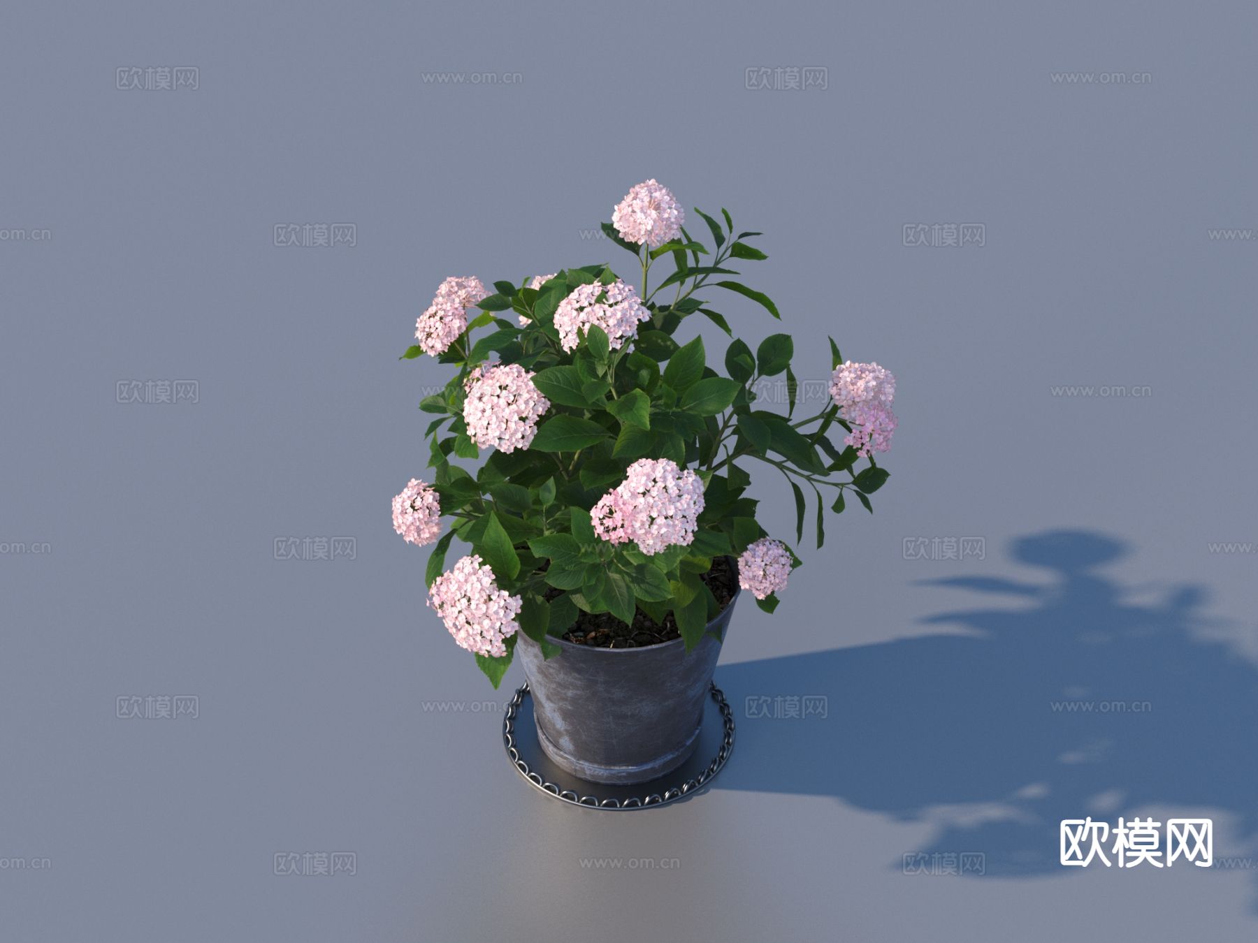 花盆 盆栽 绿植 户外植物3d模型