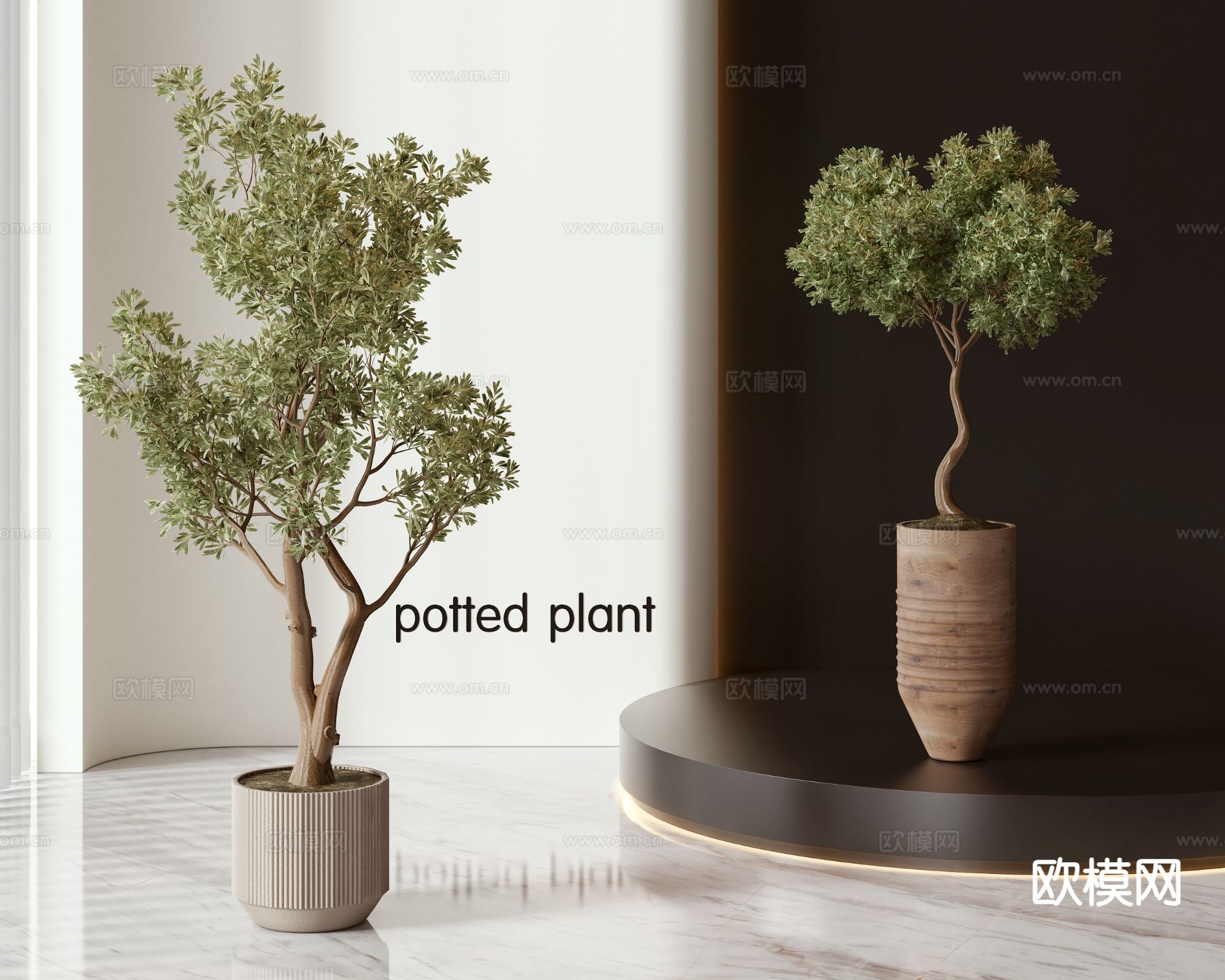 绿植盆栽 室内盆栽3d模型