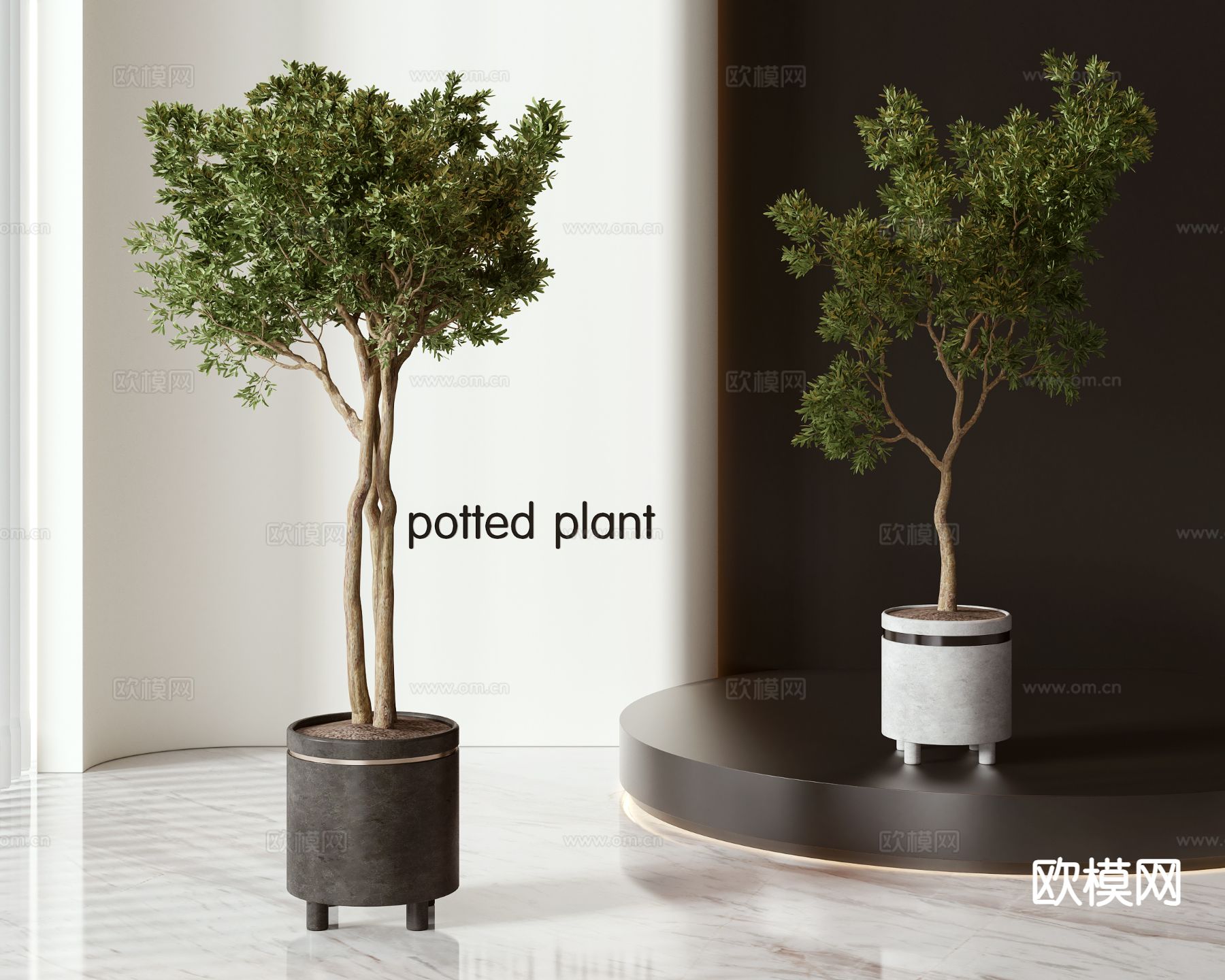 绿植盆栽 室内盆栽3d模型