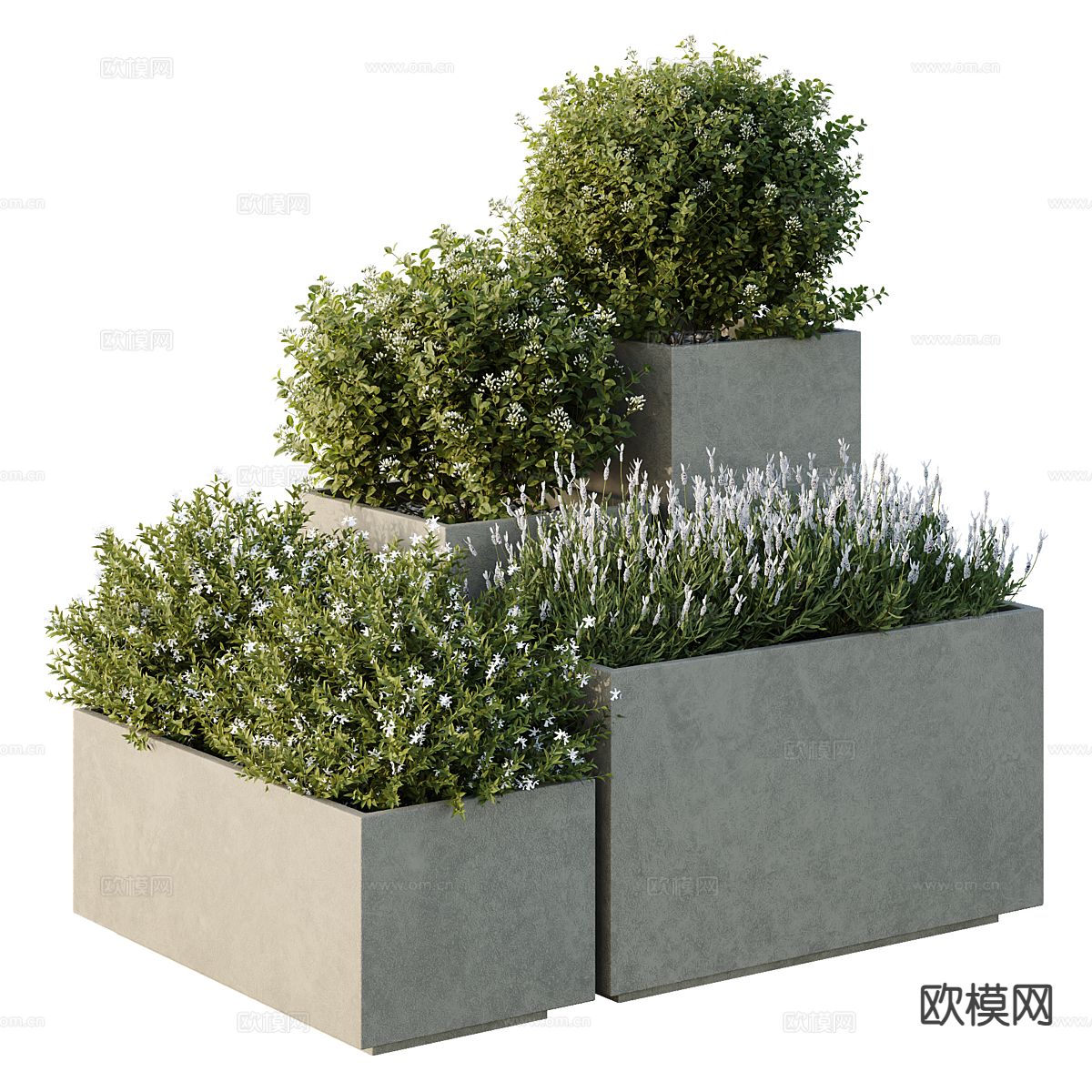 花草植物 花坛 户外植物3d模型