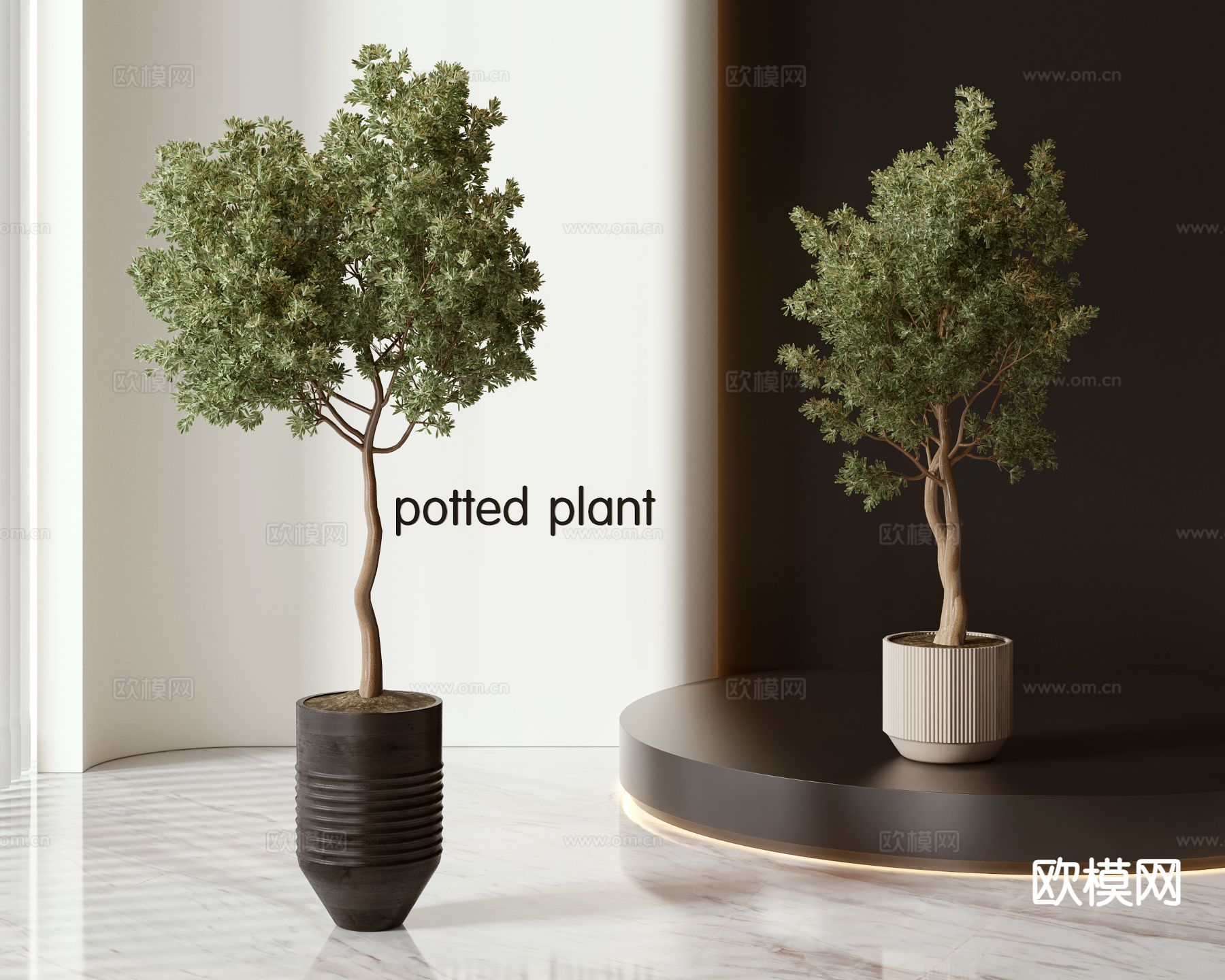 绿植盆栽 室内盆栽3d模型