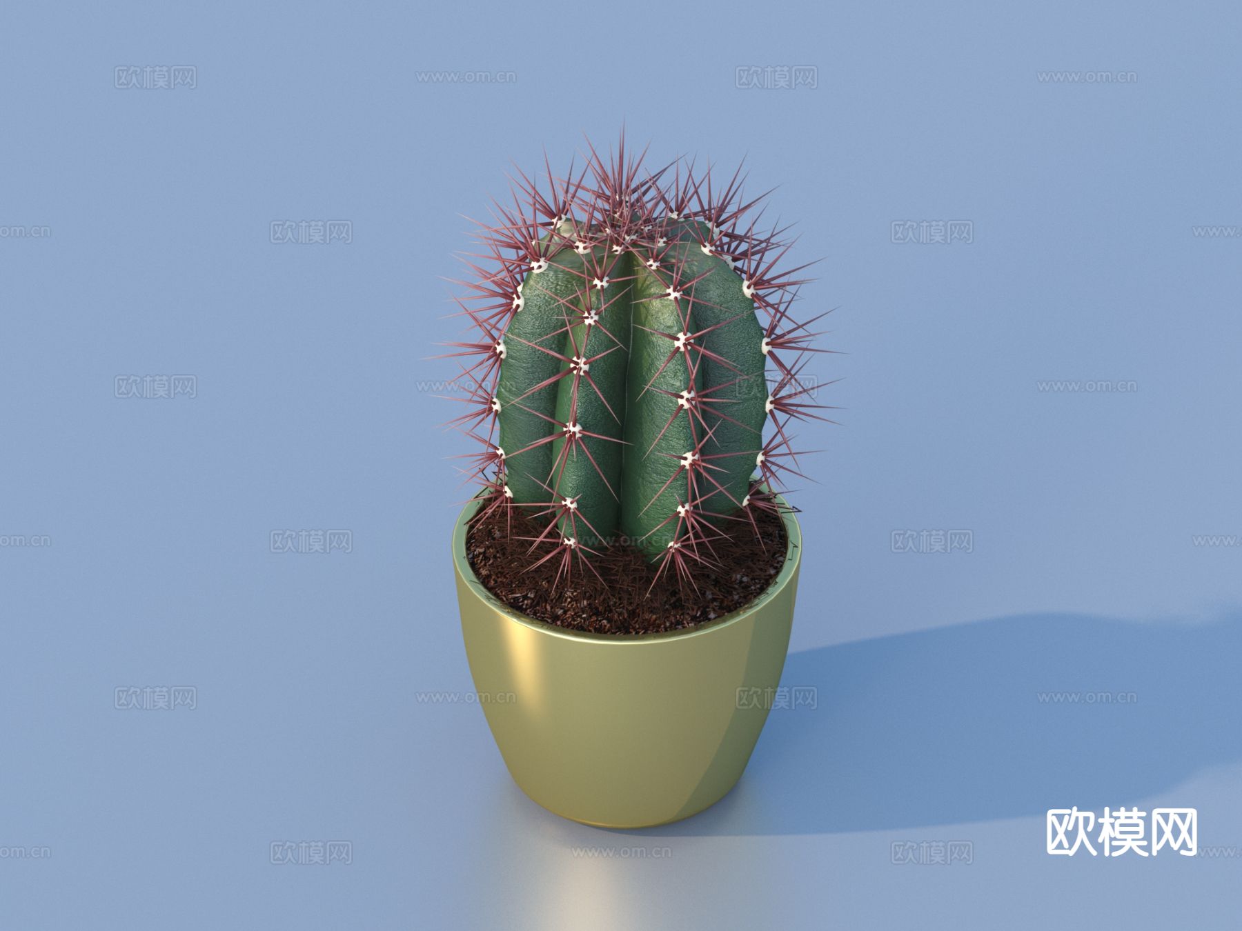 仙人掌 花盆 盆栽 绿植 植物3d模型