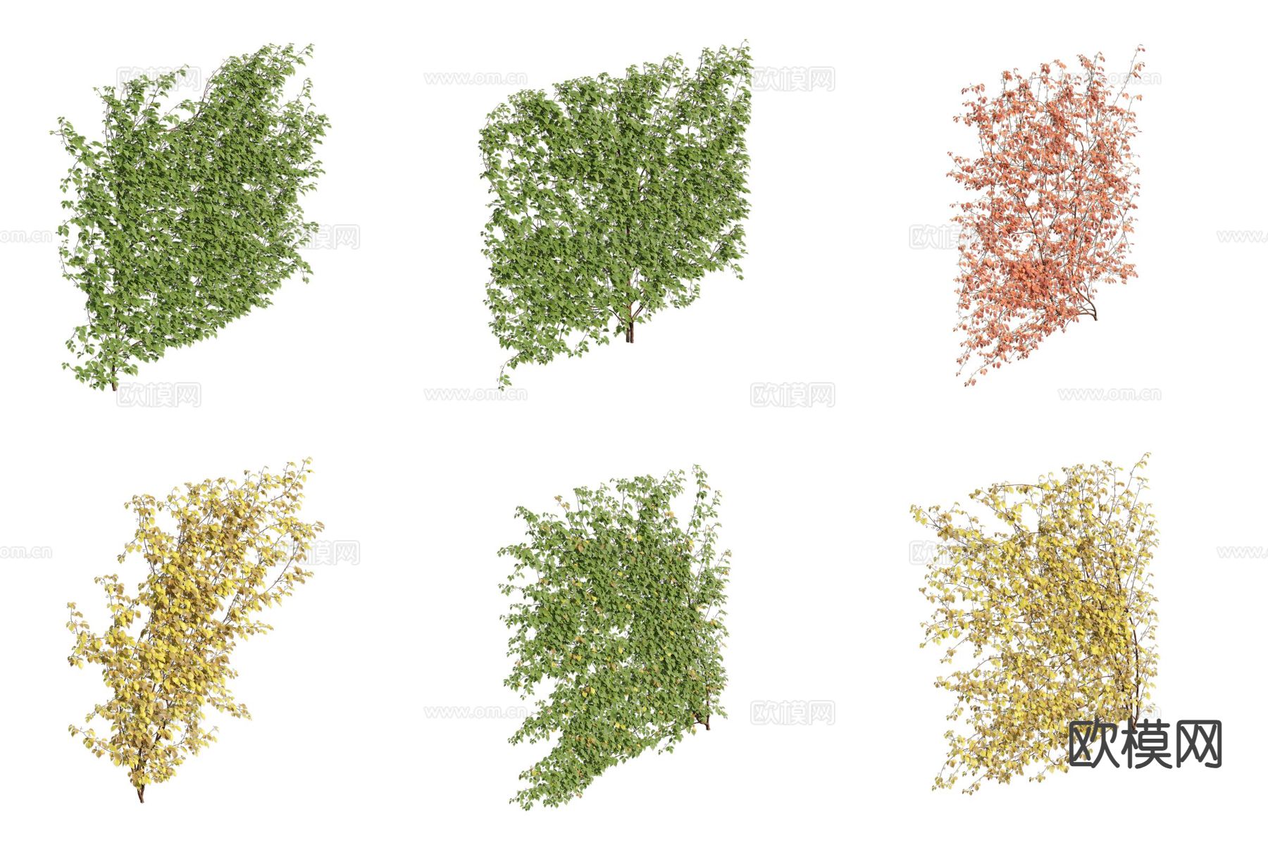 爬山虎 藤蔓 爬藤3d模型
