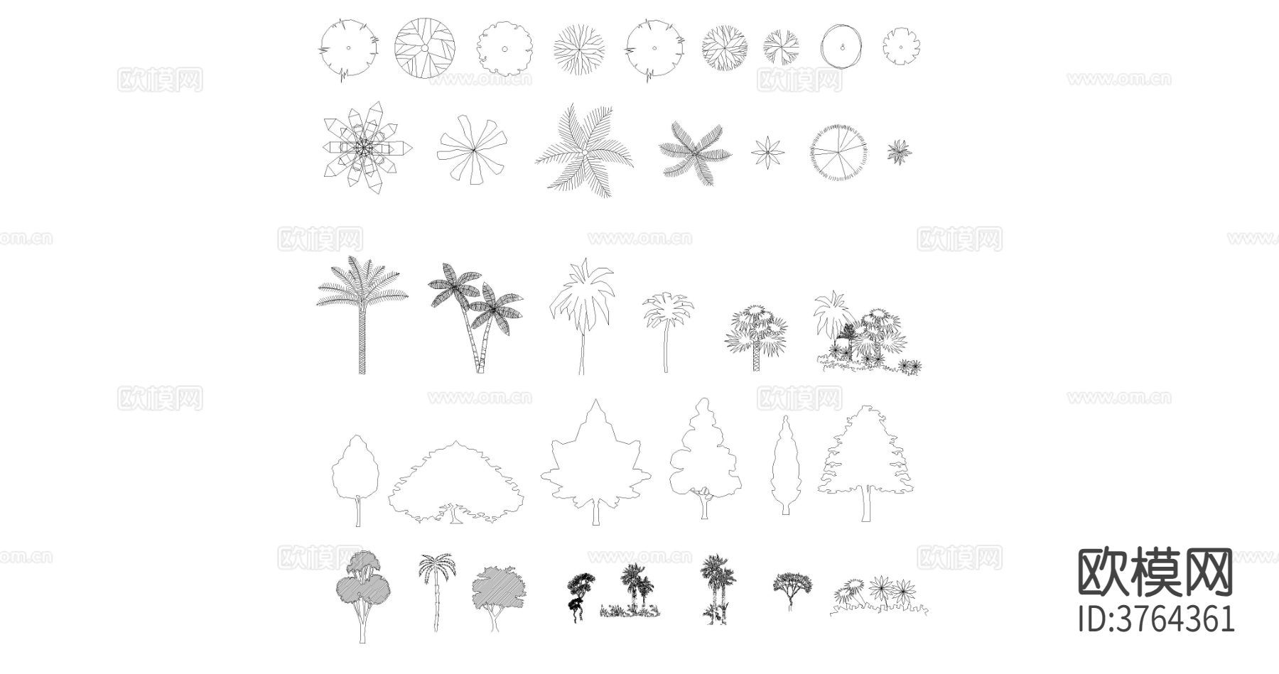 树木平面图，立面图热带树cad图库下载