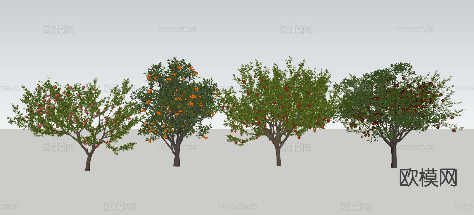 果树 苹果树 橙子树 橘子树su模型