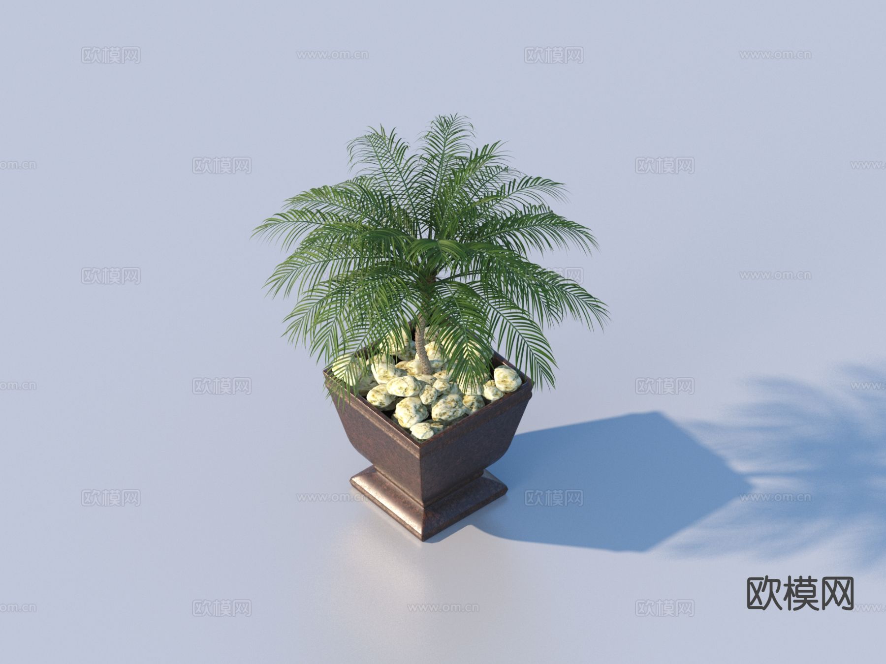 花盆 盆栽 绿植3d模型