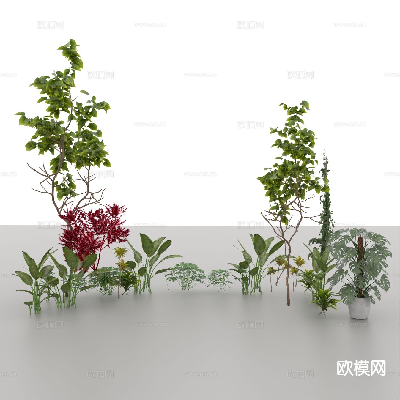 绿色植物 灌木 户外植物3d模型