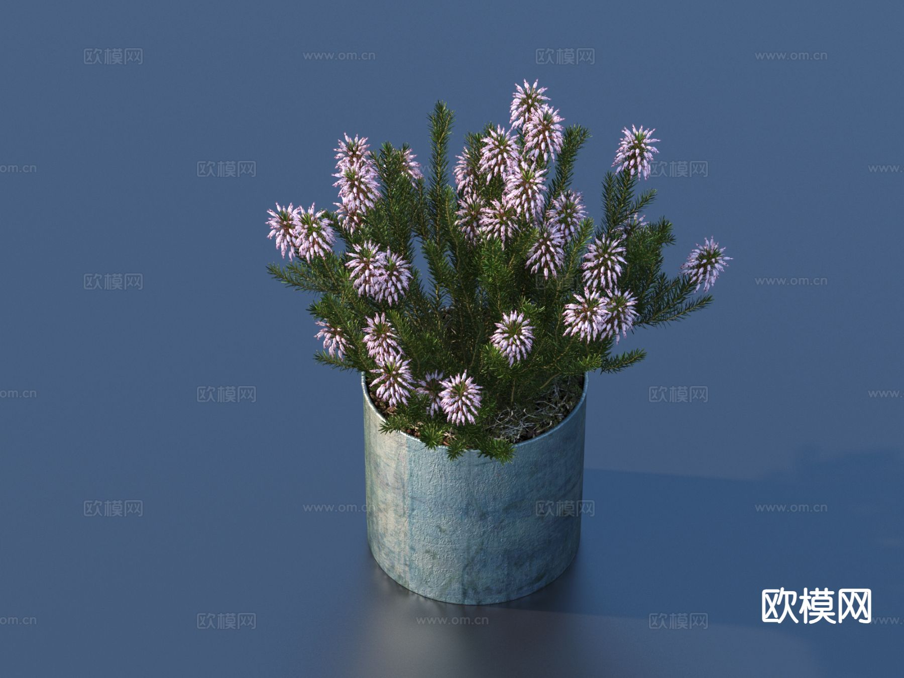 花盆 盆栽 绿植 植物3d模型