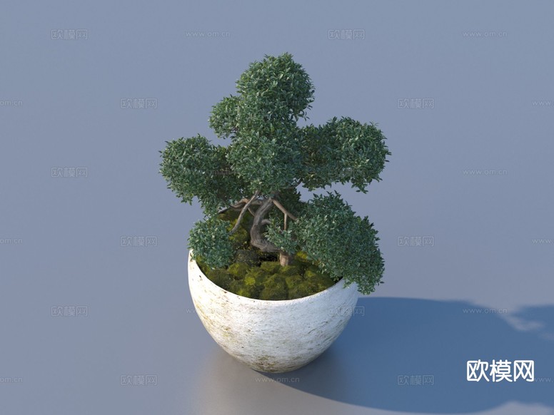 花盆 盆栽 绿植 植物3d模型下载