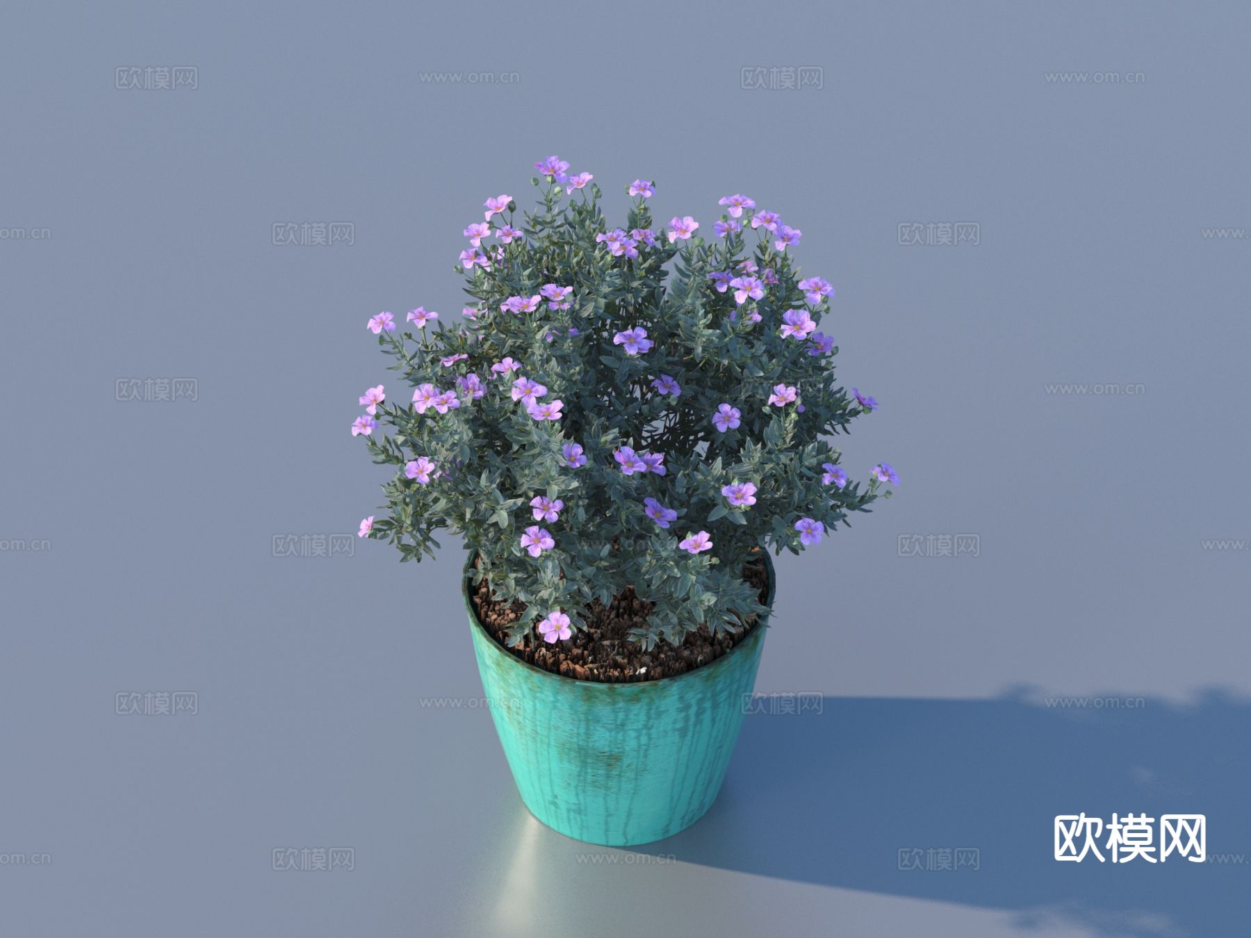 花盆 盆栽 绿植 植物3d模型