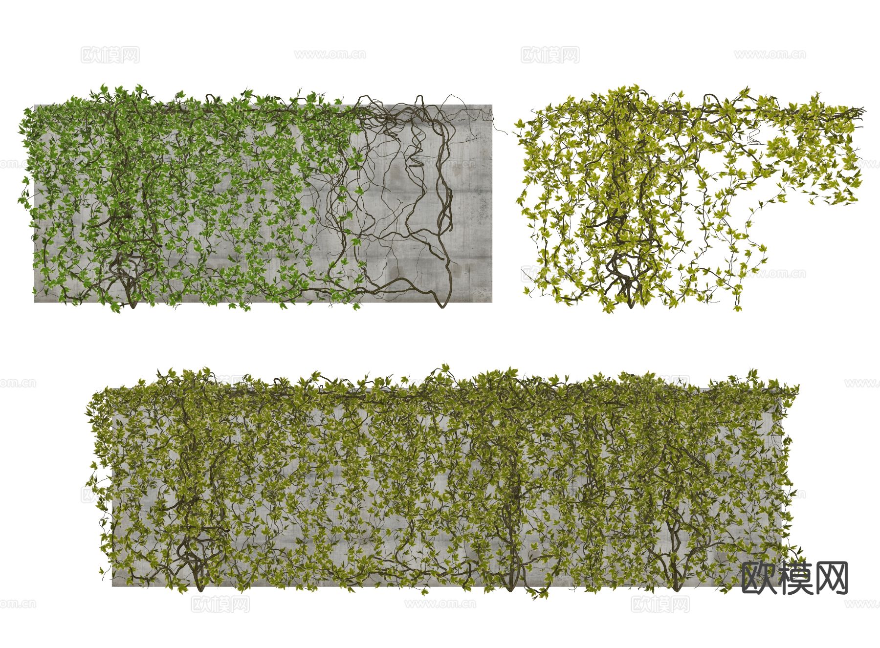 爬藤 绿植墙 爬山虎su模型
