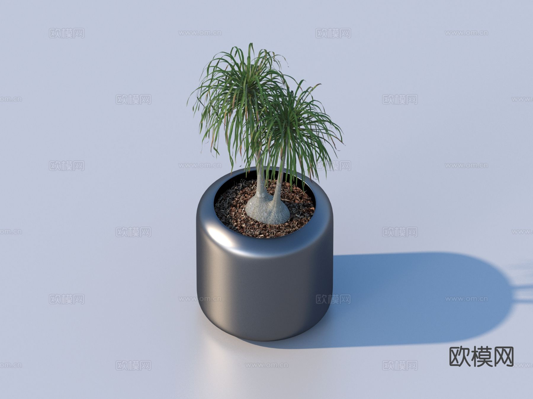 花盆 盆栽 绿植 植物3d模型