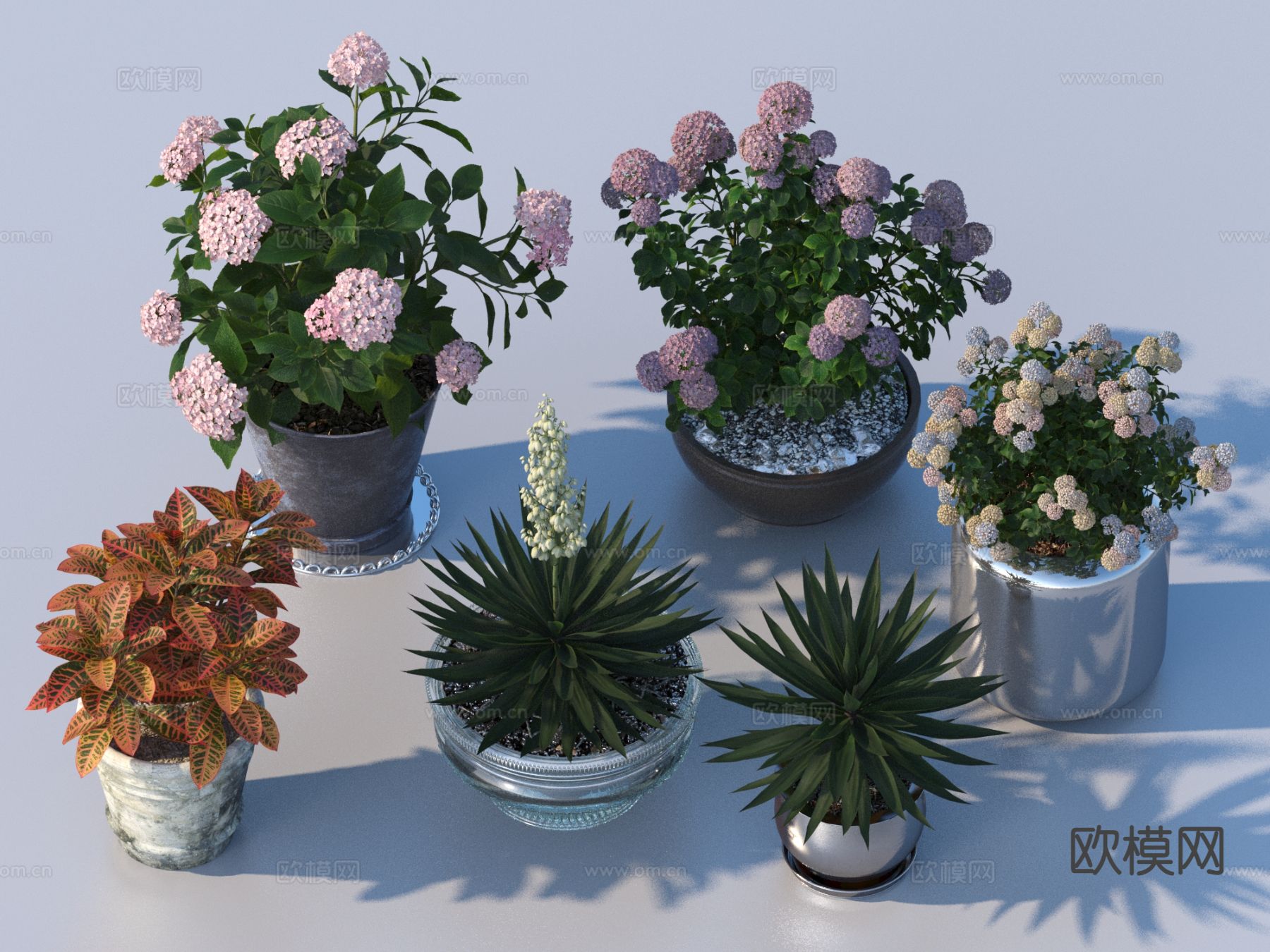 花盆 盆栽 绿植 植物3d模型