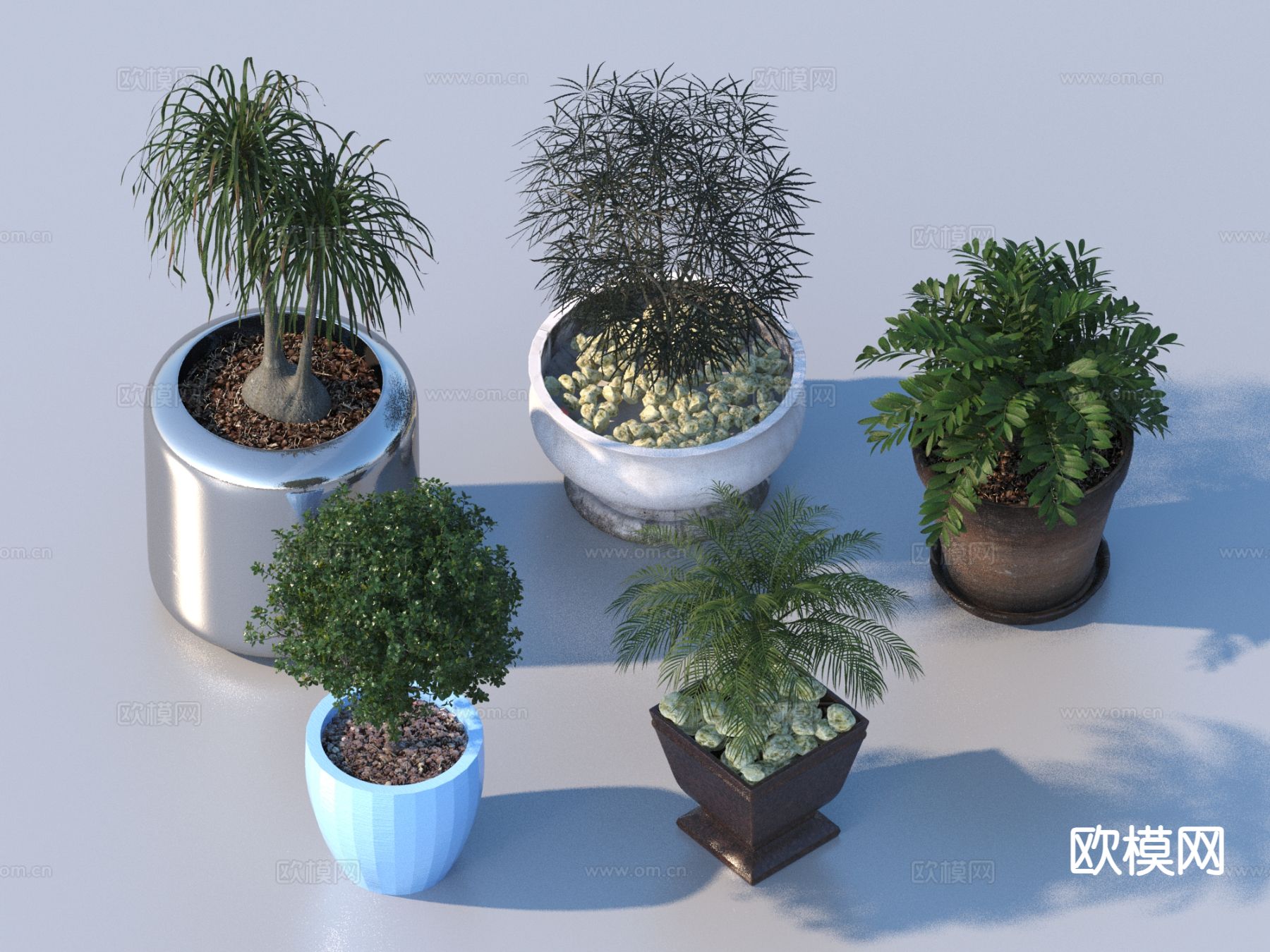 花盆 盆栽 绿植 植物3d模型